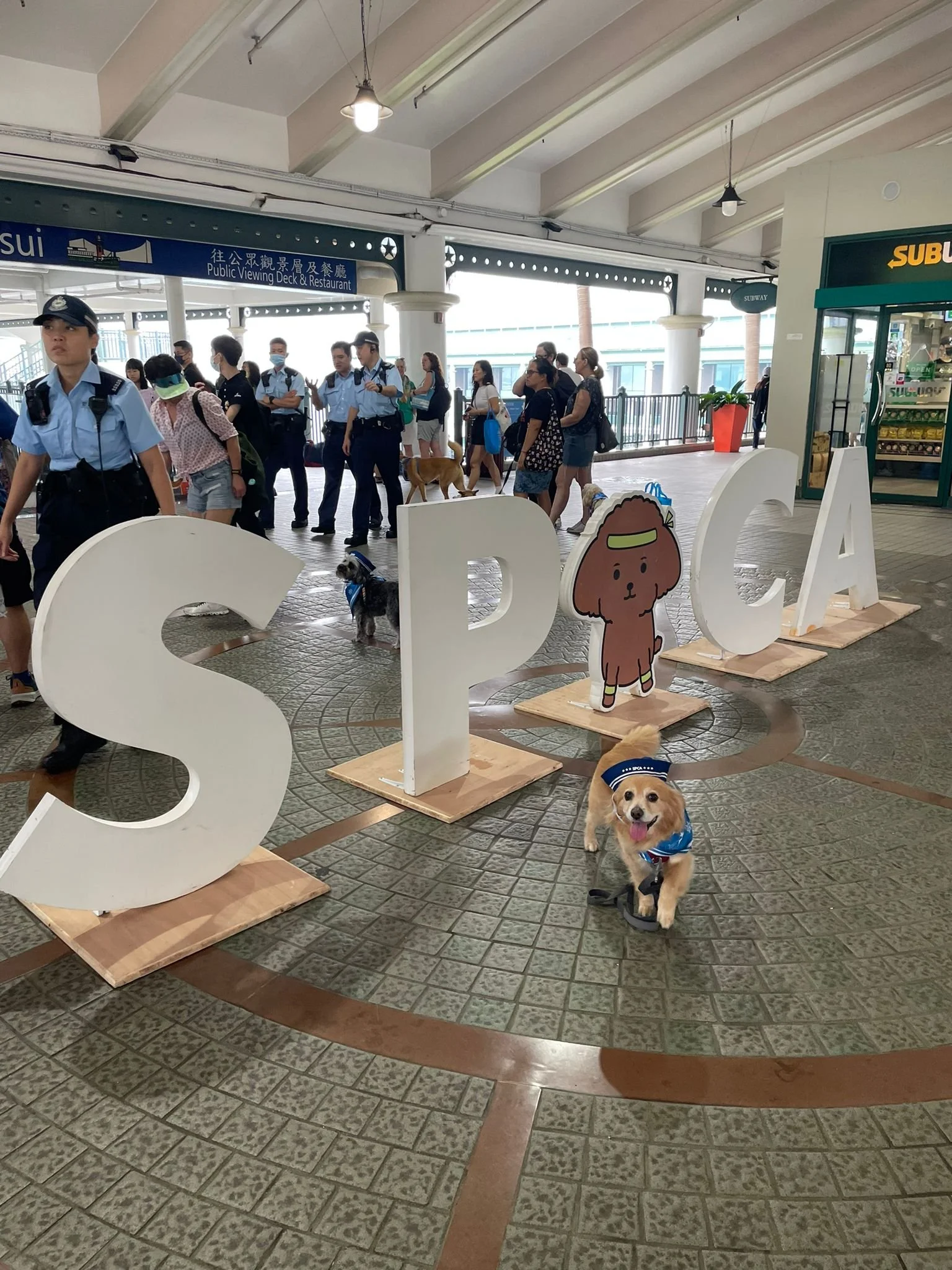 WhatsApp Image 2023-04-29 at 17.07.07 (1).jpeg