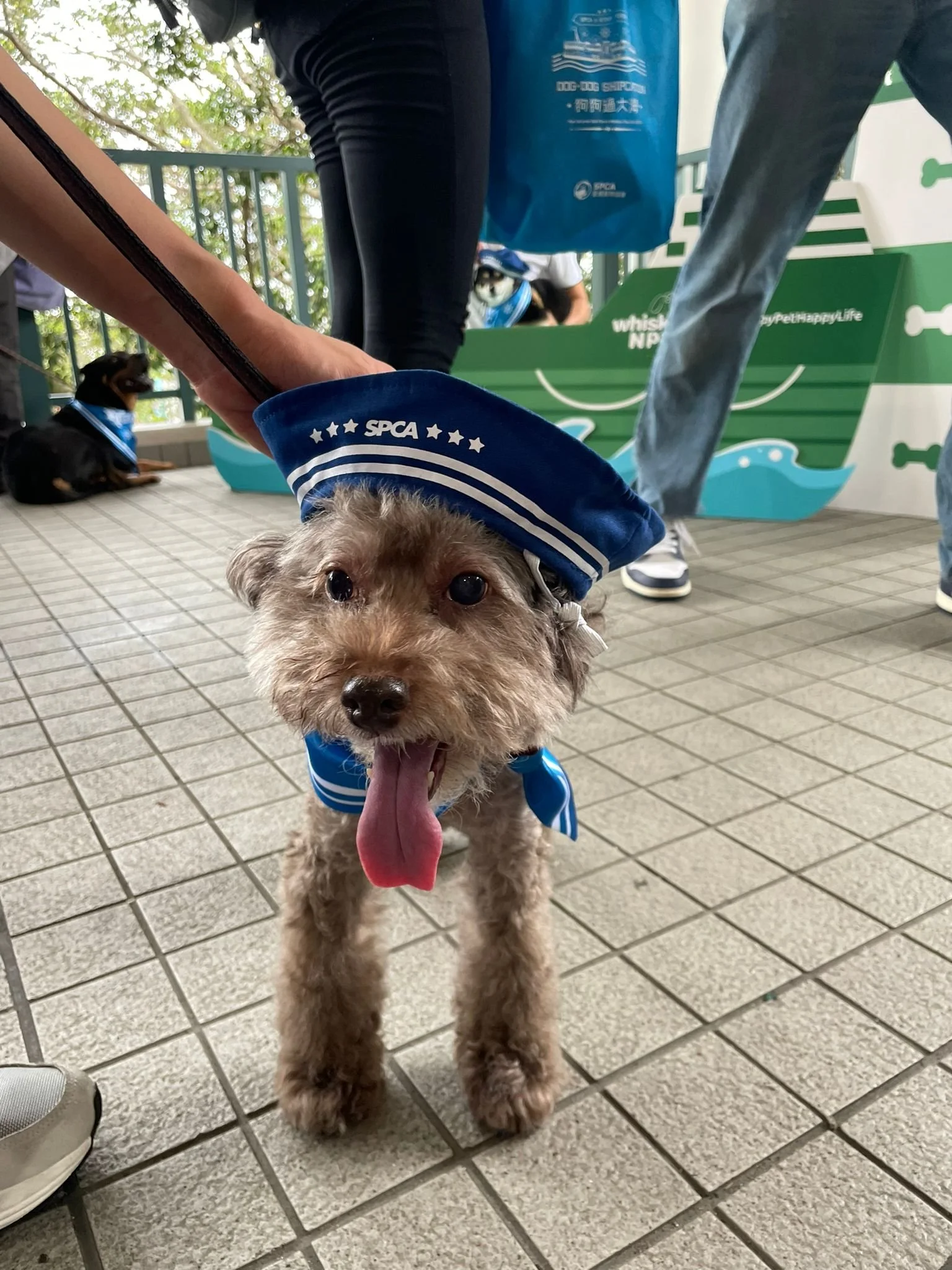 WhatsApp Image 2023-04-29 at 17.07.07.jpeg