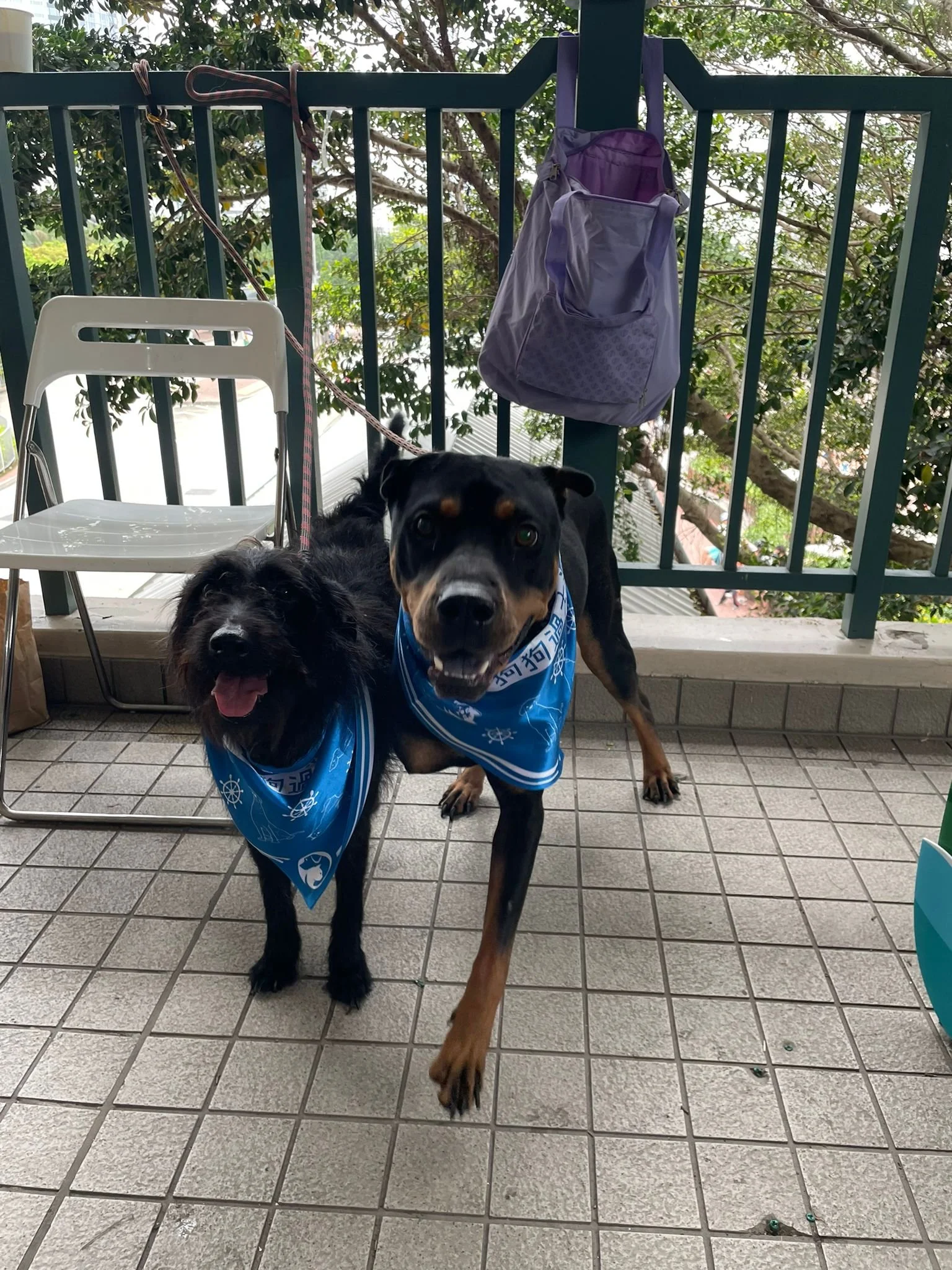 WhatsApp Image 2023-04-29 at 17.07.09.jpeg