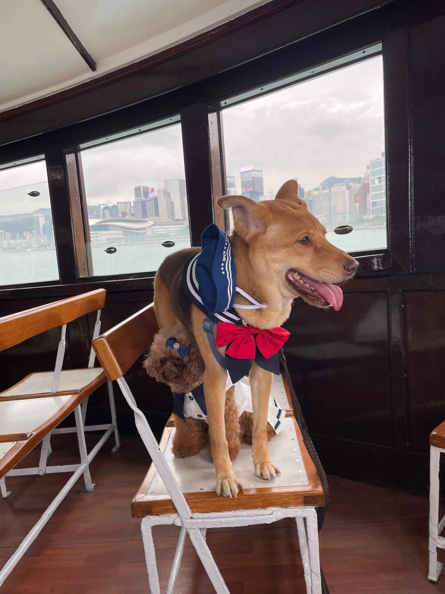 WhatsApp Image 2023-04-29 at 17.07.18.jpeg