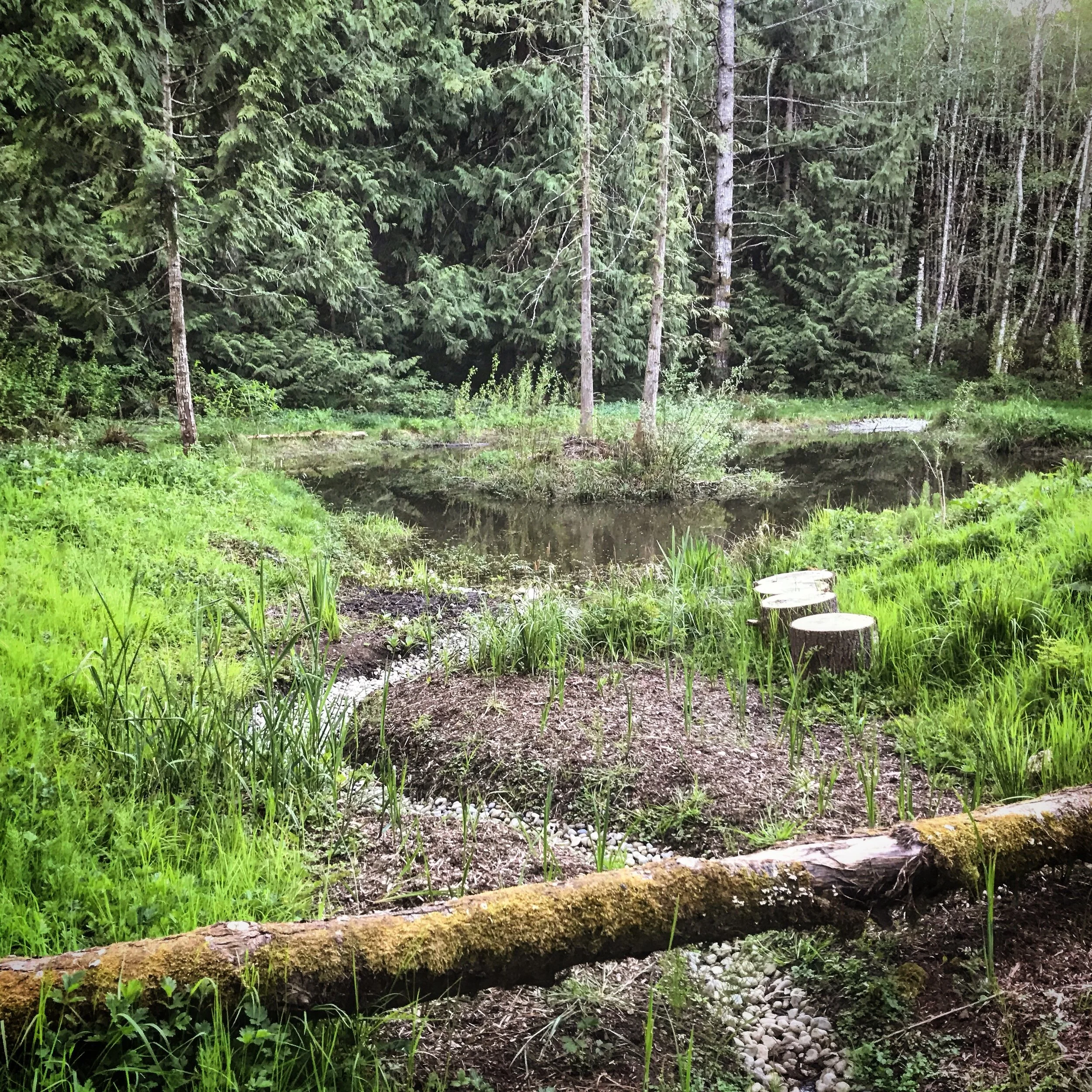 Floodwater Mitigation