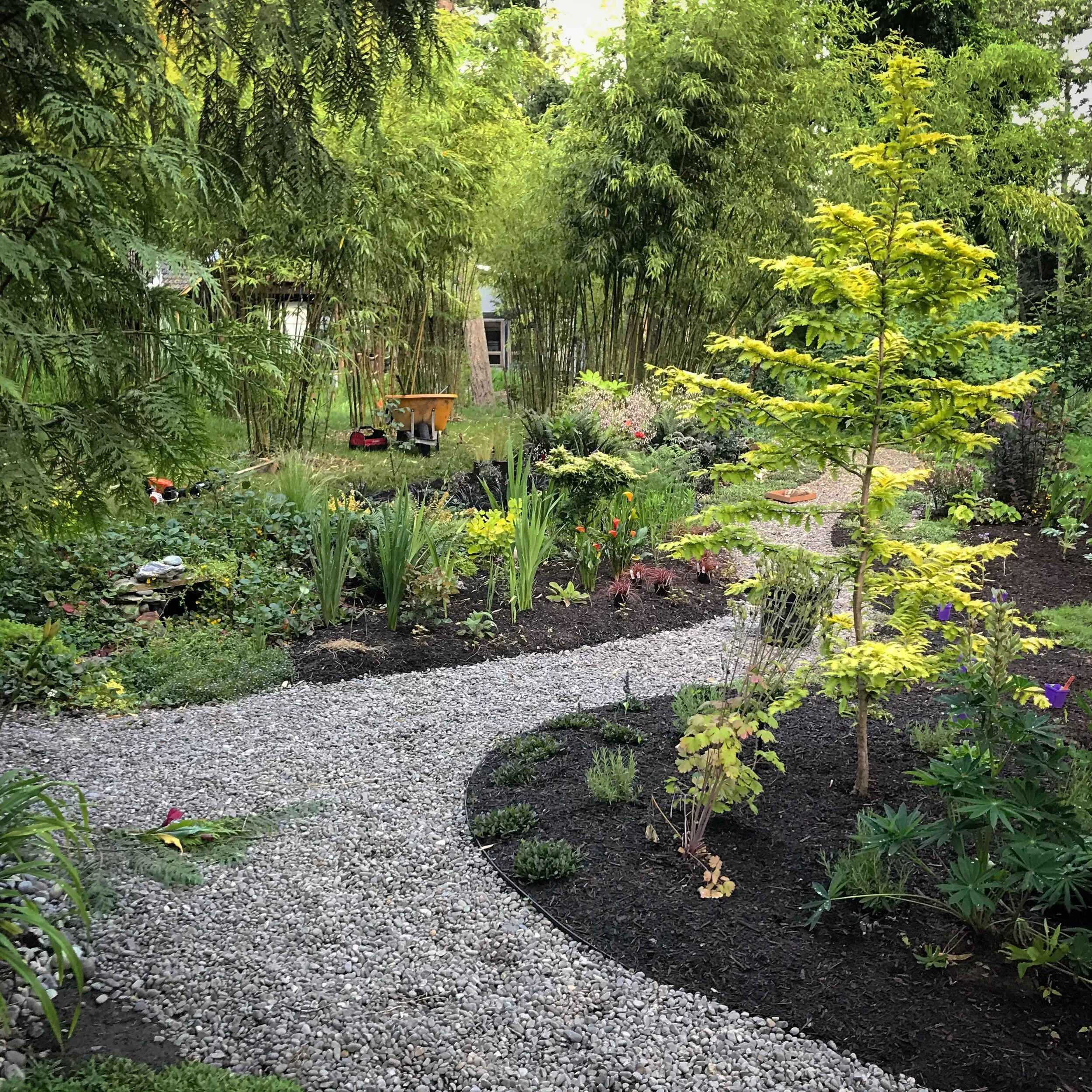 New beds &amp; paths