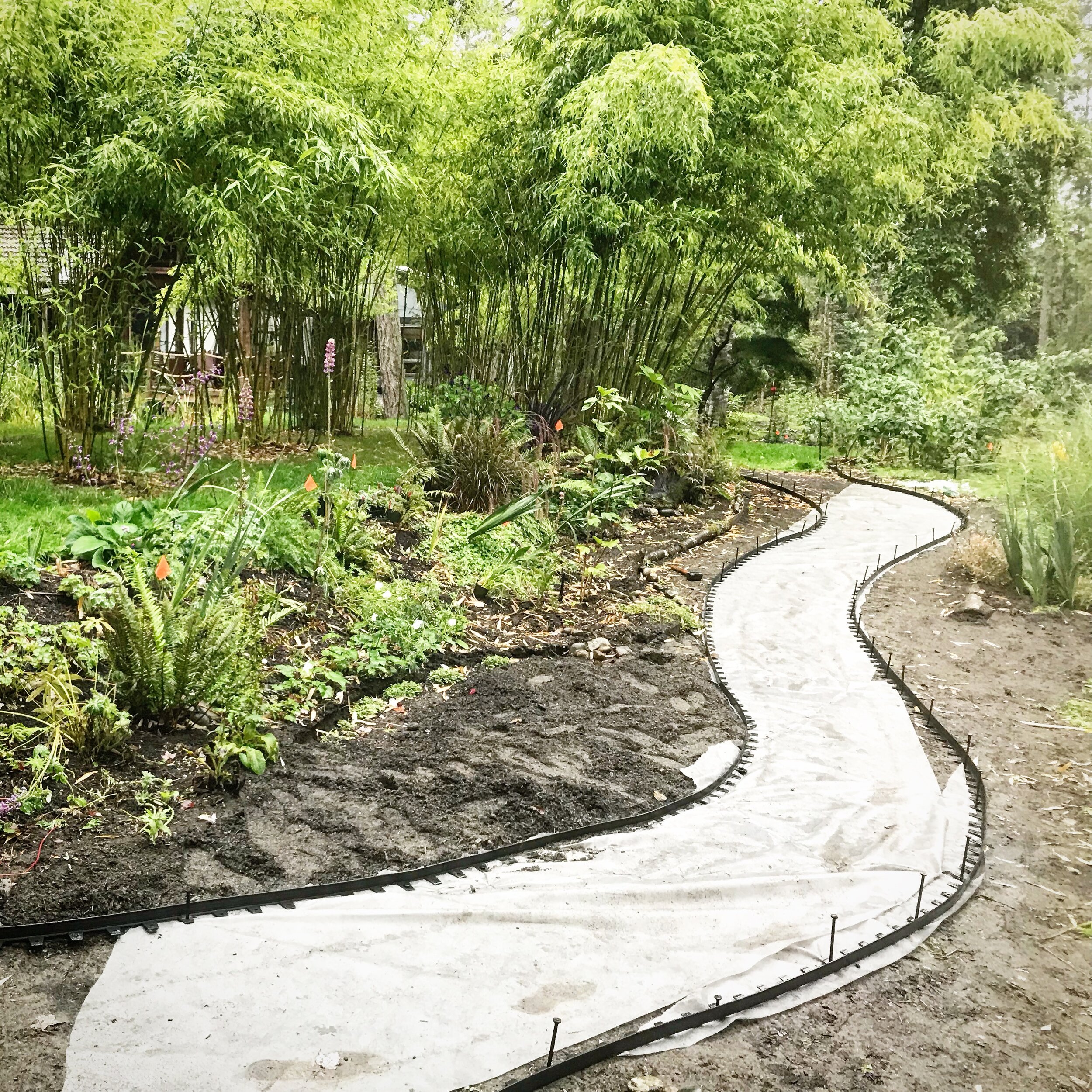New Beds &amp; Paths II