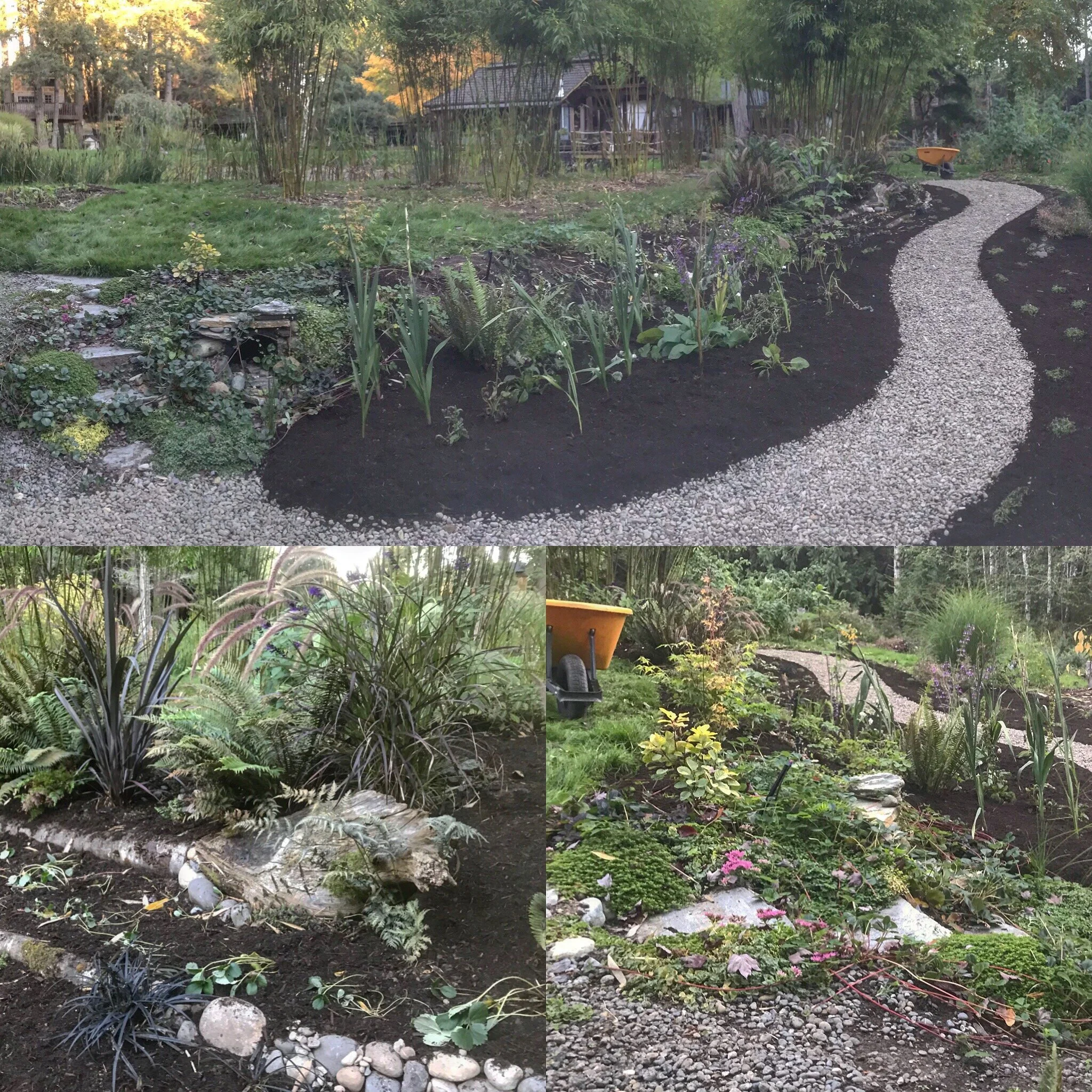 New Beds &amp; Paths (Progression)