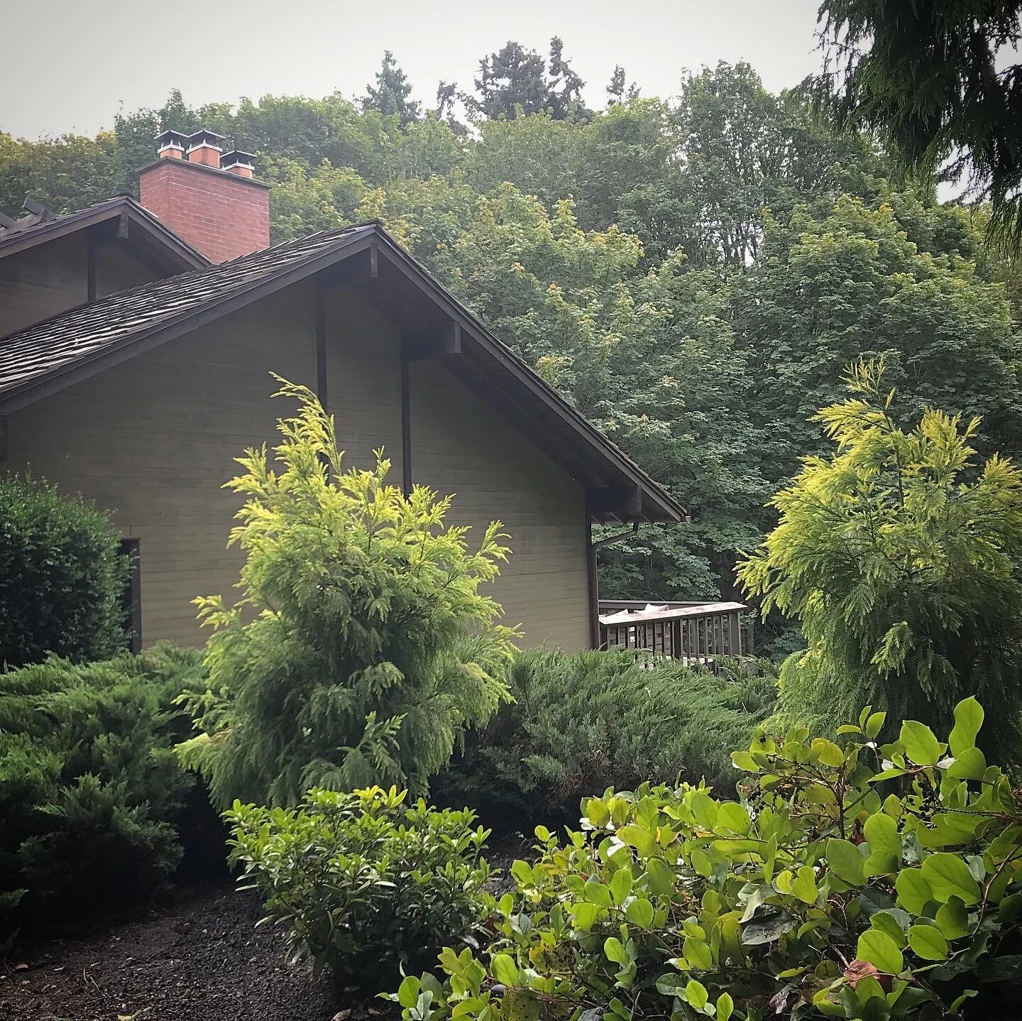 Suggesting Plant Choice & Placement