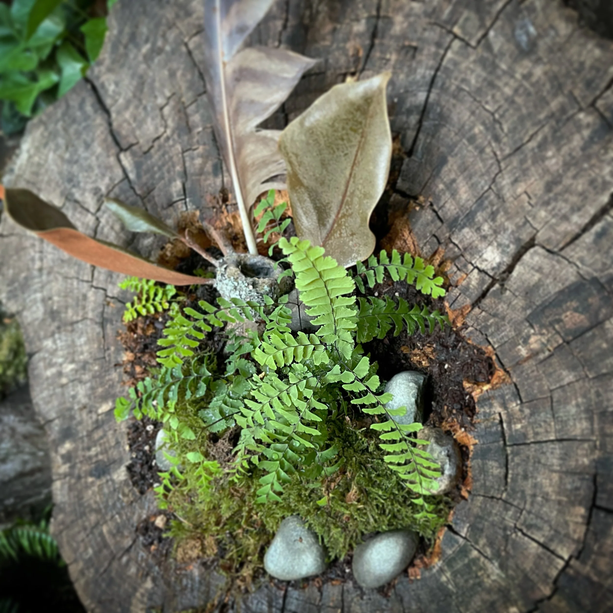 B54C9B2F-7BA6-4EEA-A922-AE22390A5D41 2.JPG