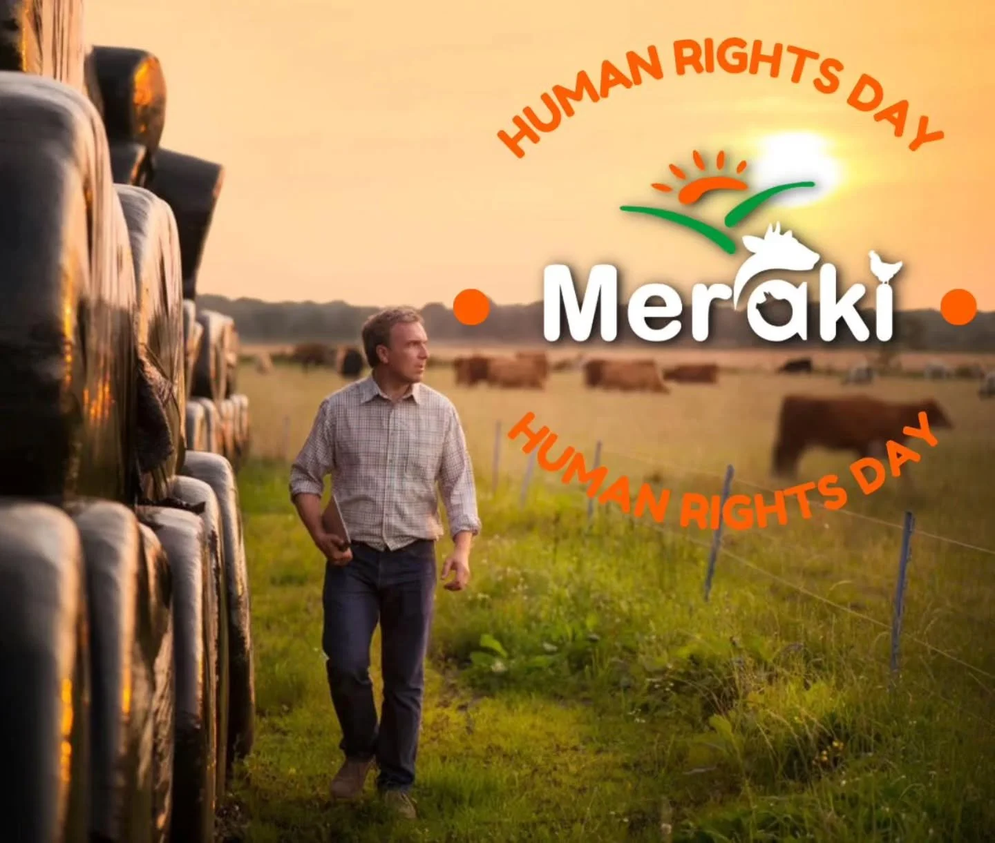 At Meraki, we believe that respect, dignity, and fairness should extend to all&mdash;both people and animals alike. 
On this special day, we celebrate the fundamental rights that unite us all and reaffirm our commitment to ethical and sustainable pra