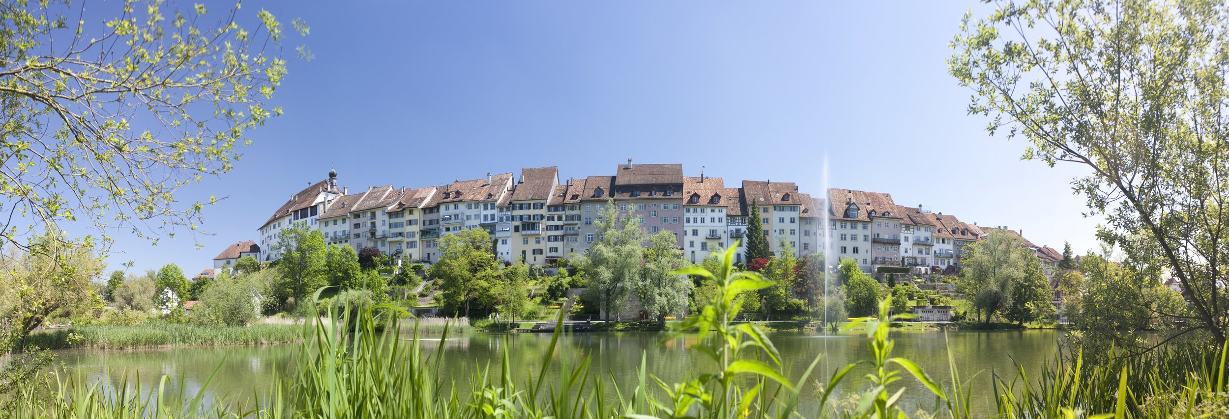 AdobeStock_23498361_Wil_Panorama.jpeg