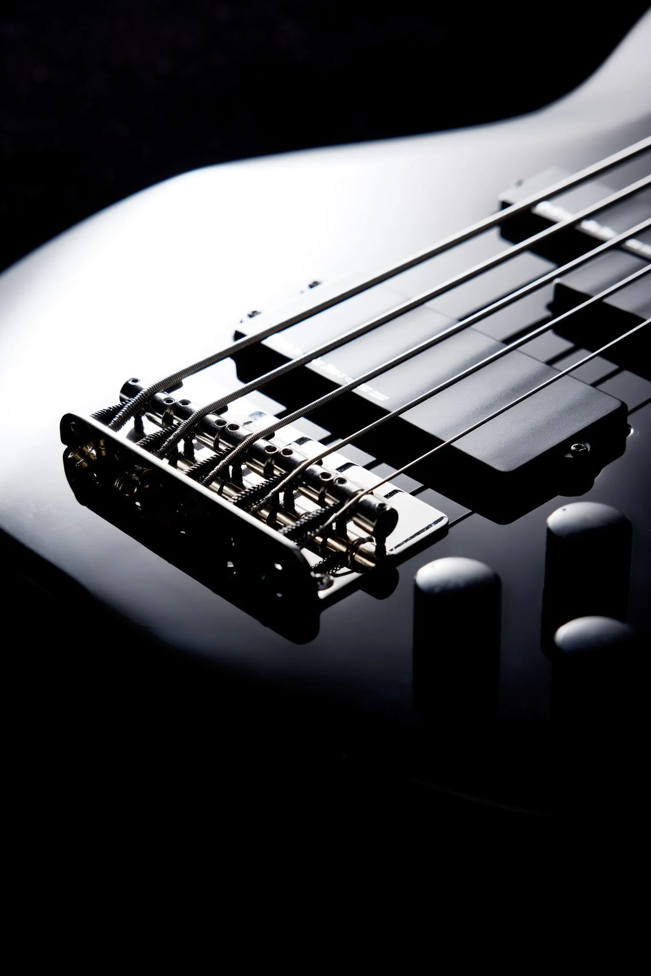 20240927_markbass_test0036.jpg