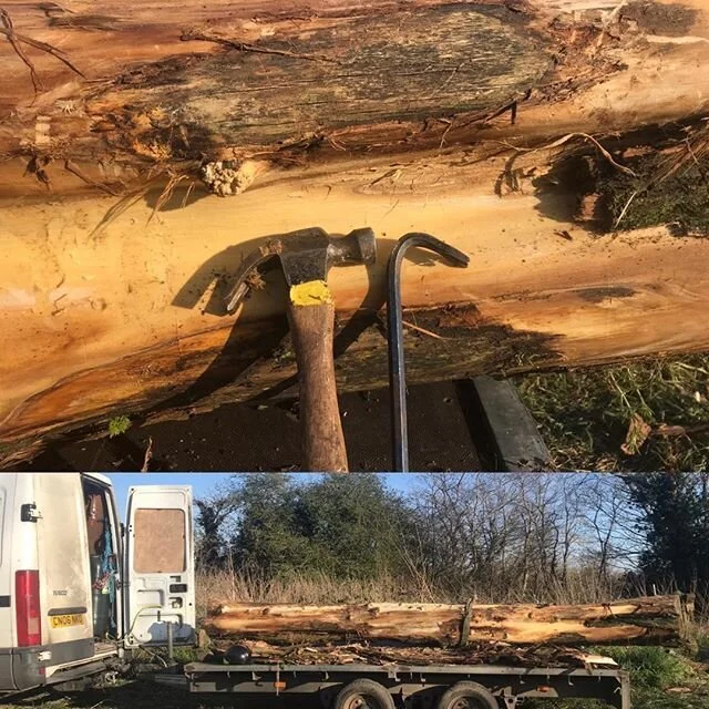 Spent the day peeling bark ready to carve the next totem. The trees have been down over a year so there was a wonderful array of minibeasts living under the bark, most of which I managed to carefully transfer to other dead habitat piles we&rsquo;ve c