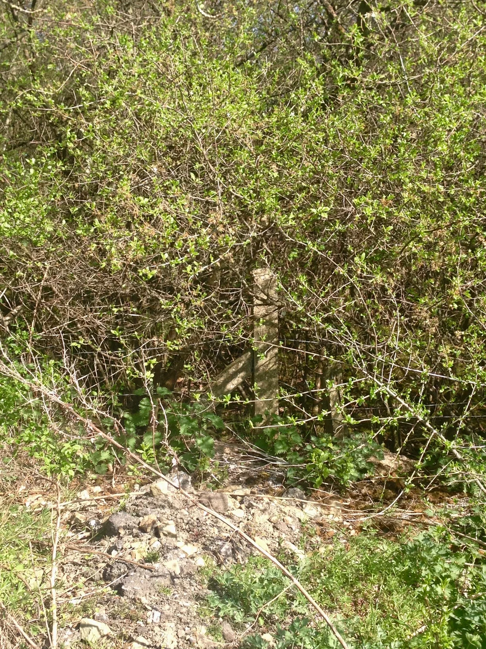 Beauchief Roc Post Beauchief Royal Observer Corps Post — Jess Ghost