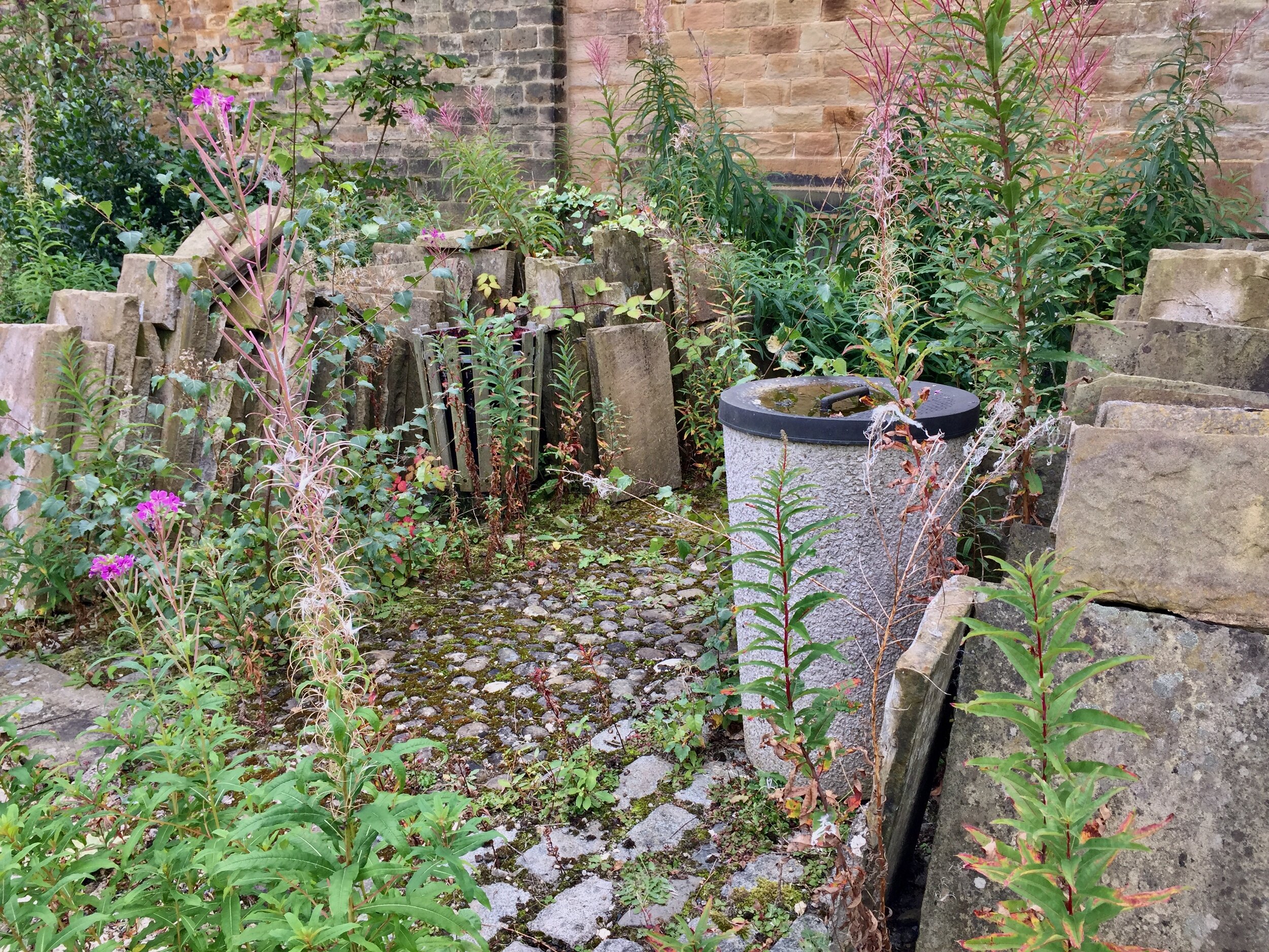 Bins through the ages, sitting amongst the preserved paving slabs and rosebay willow herb. 