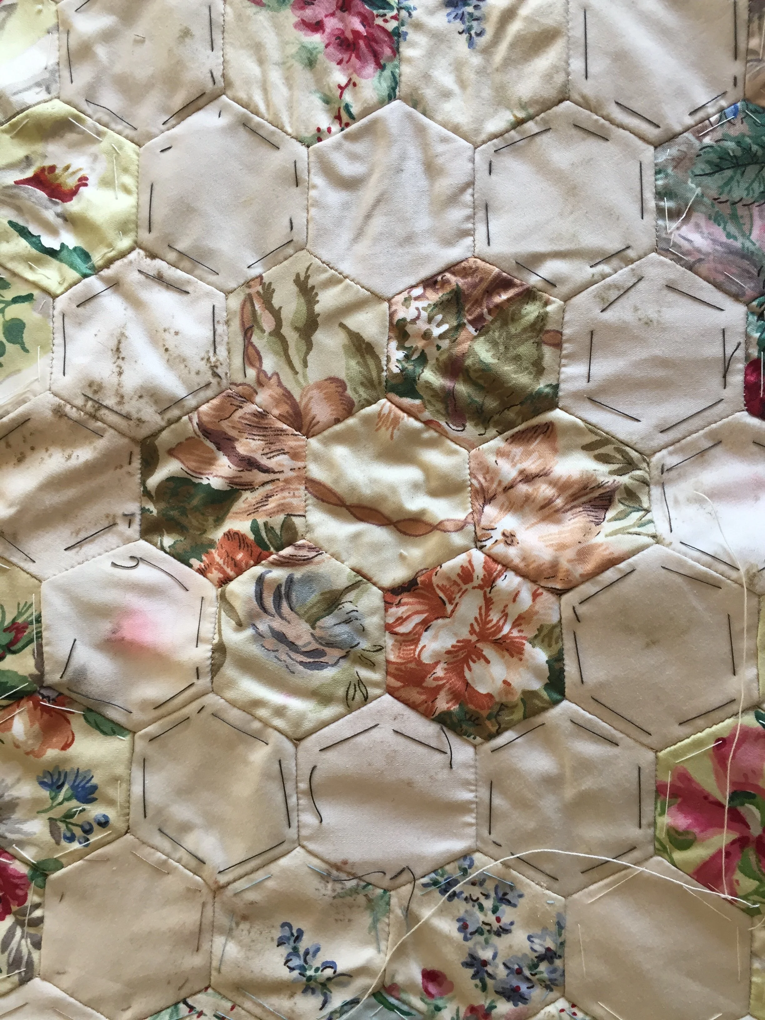 An Archive of Mouldy Patches