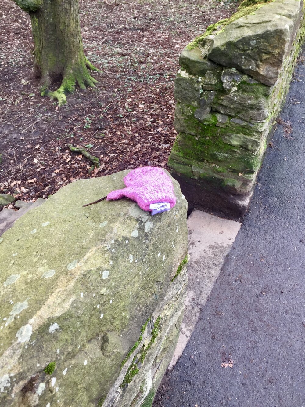  A bright pink mitten on a park wall. 