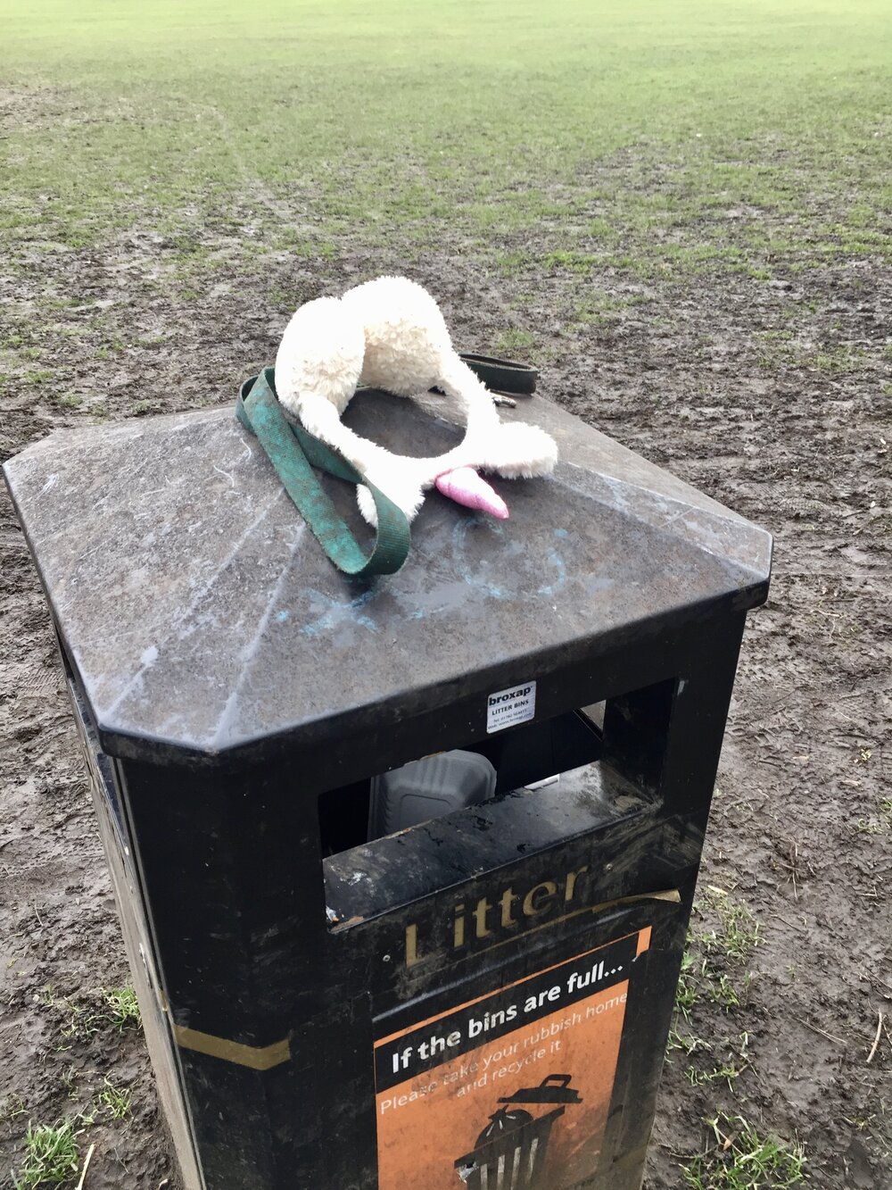  A pair of fluffy, cream unicorn ear muffs on top of a bin, next to a muddy green dog lead.  