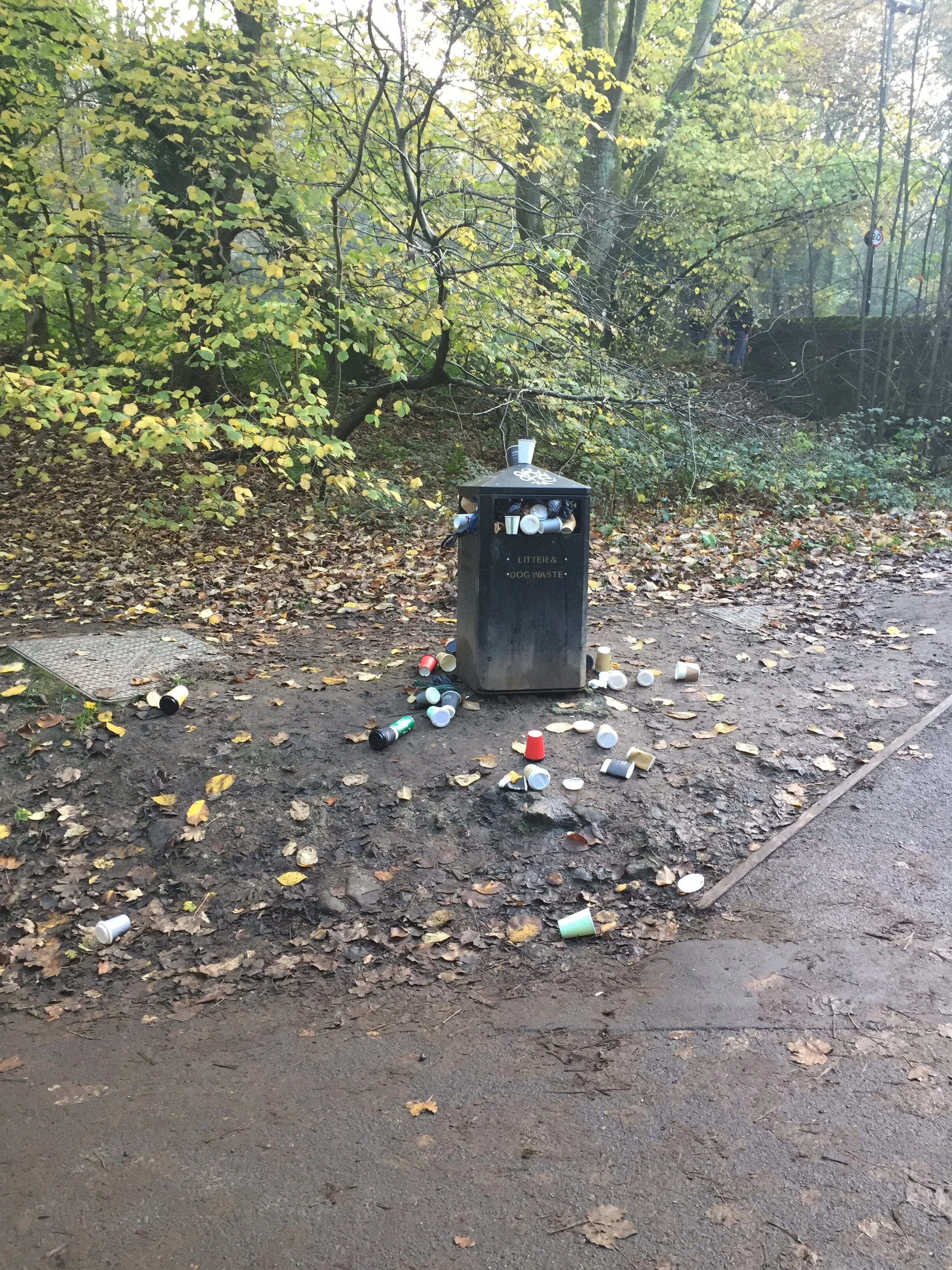 Full Bins: a Photo Series