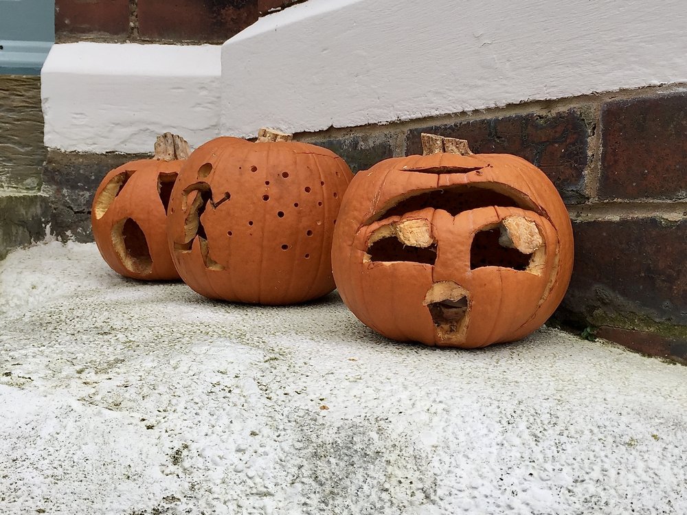  Three carved halloween pumpkins, starting to rot. The one in front has a fly on it. 