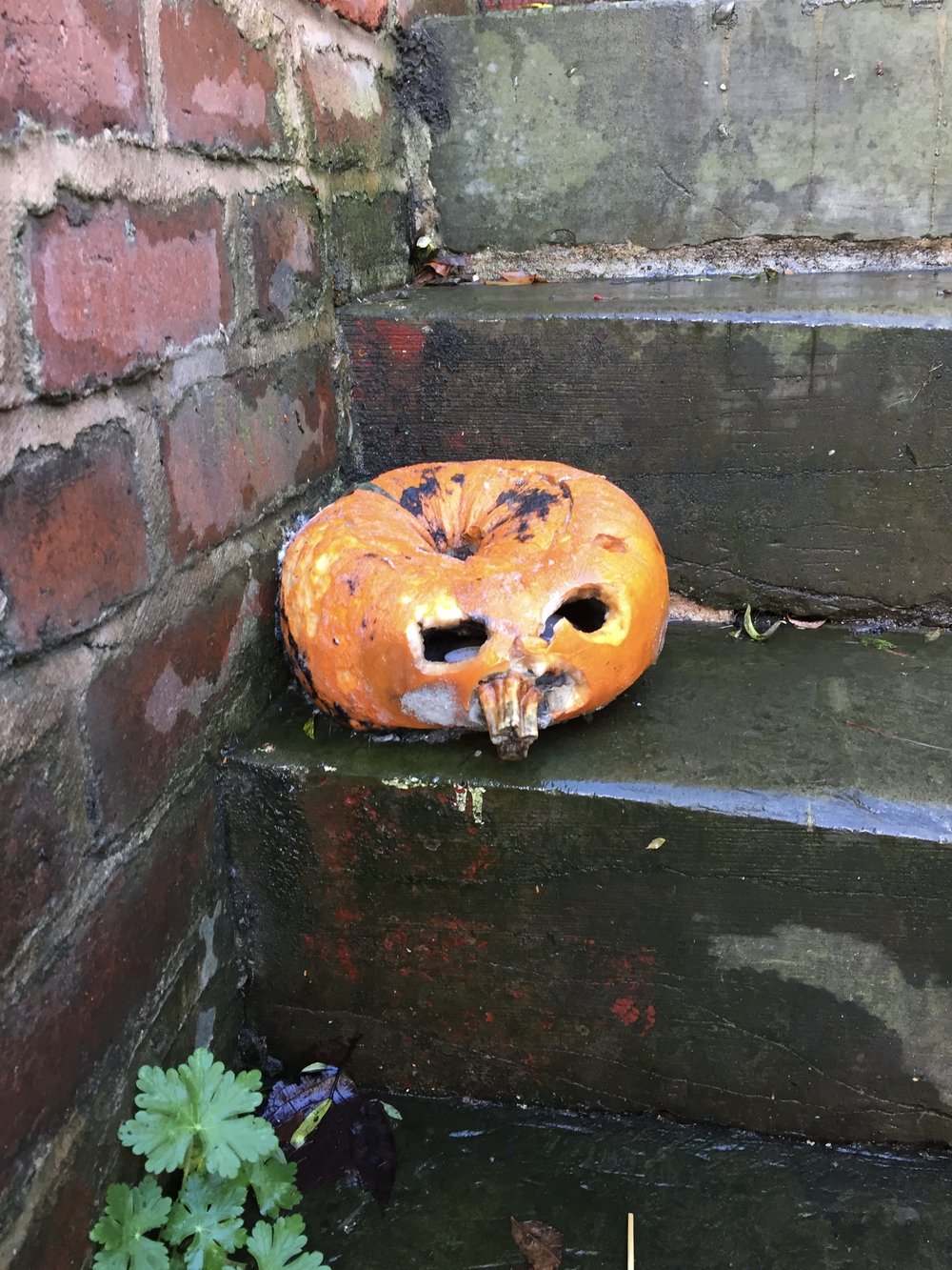  A carved pumpkin on a step. It’s collapsed in on itself and is already beginning to rot. 