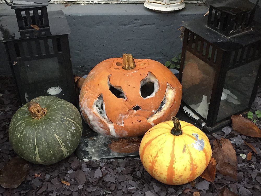  One carved halloween pumpkin beneath a door step, starting to rot badly - its wide smile is full of white fungus. Two other pumpkins (not carved) surround it. 