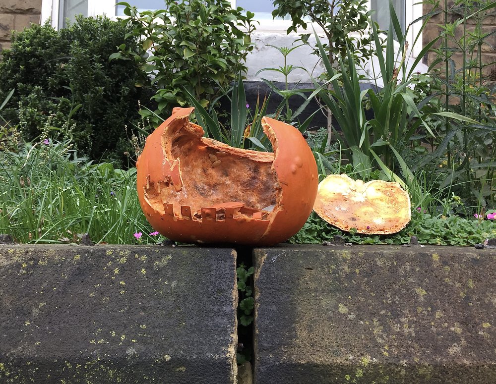  A carved pumpkin on a wall, in front of foliage. Its “face” has broken off and it's not looking well on its inside. 