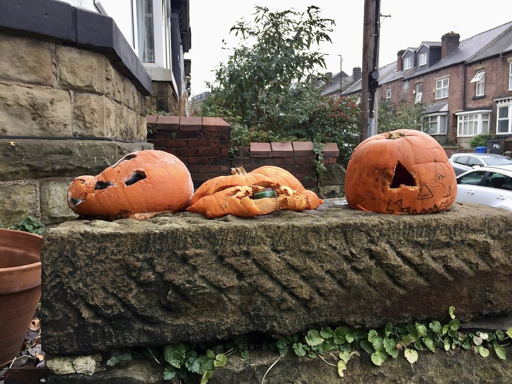  Three carved halloween pumpkins on a wall, all in advanced stages of rot. The central one has almost entirely collapsed. The candle within is still visible. 