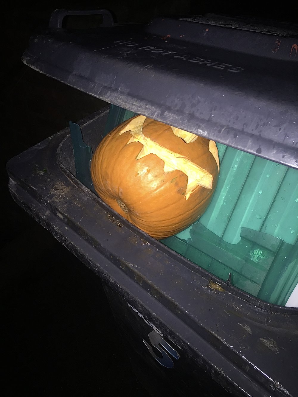  A carved pumpkin in a black wheelie bin, still smiling broadly. 