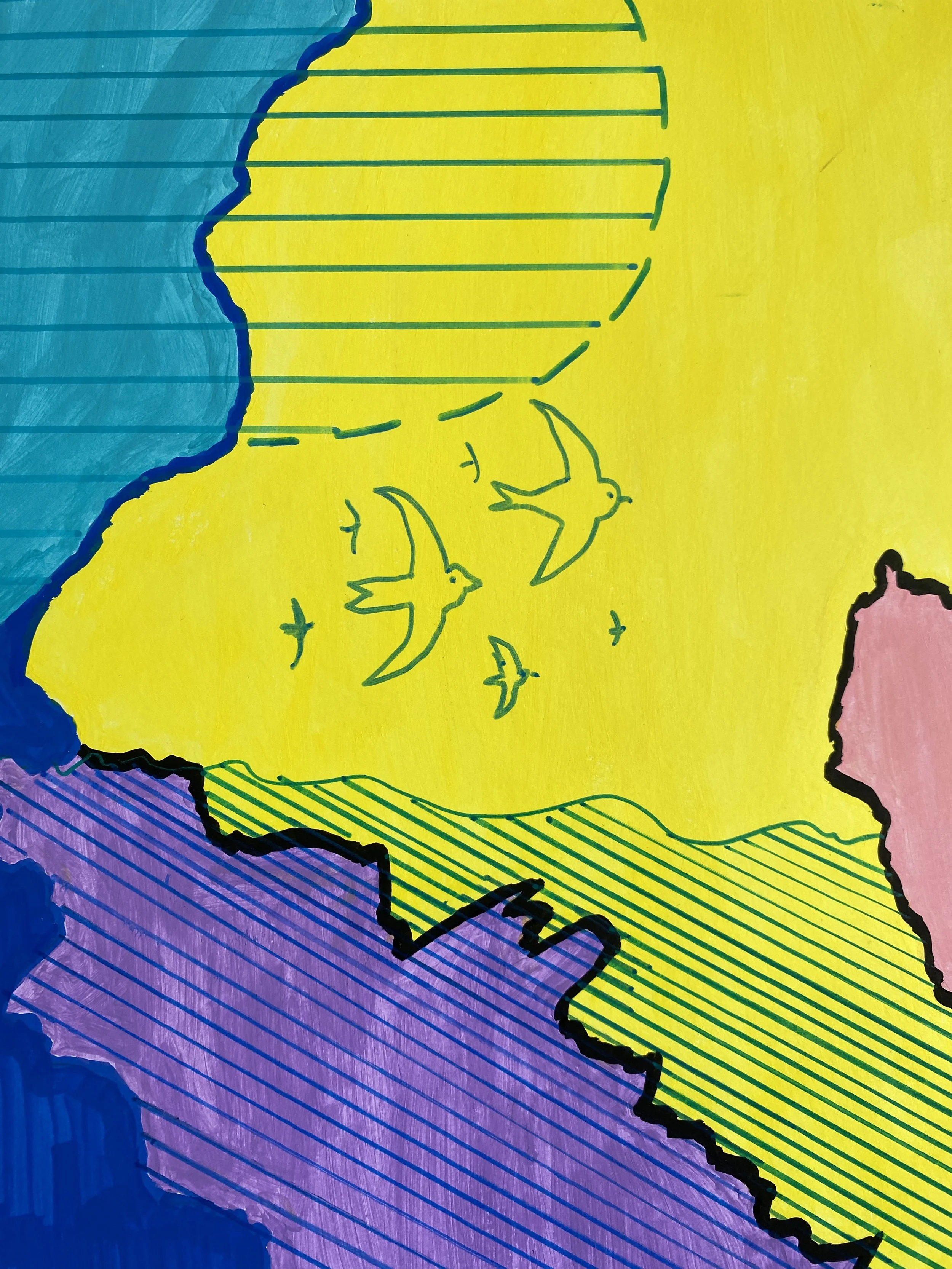  Another flock of birds. 