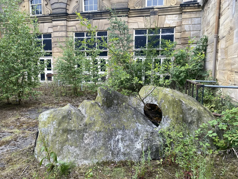  The mask is surrounded by brambles, young silver birches and an elder in the corner, as well as the remnants of old staging, but what is this tree growing through its eye?  