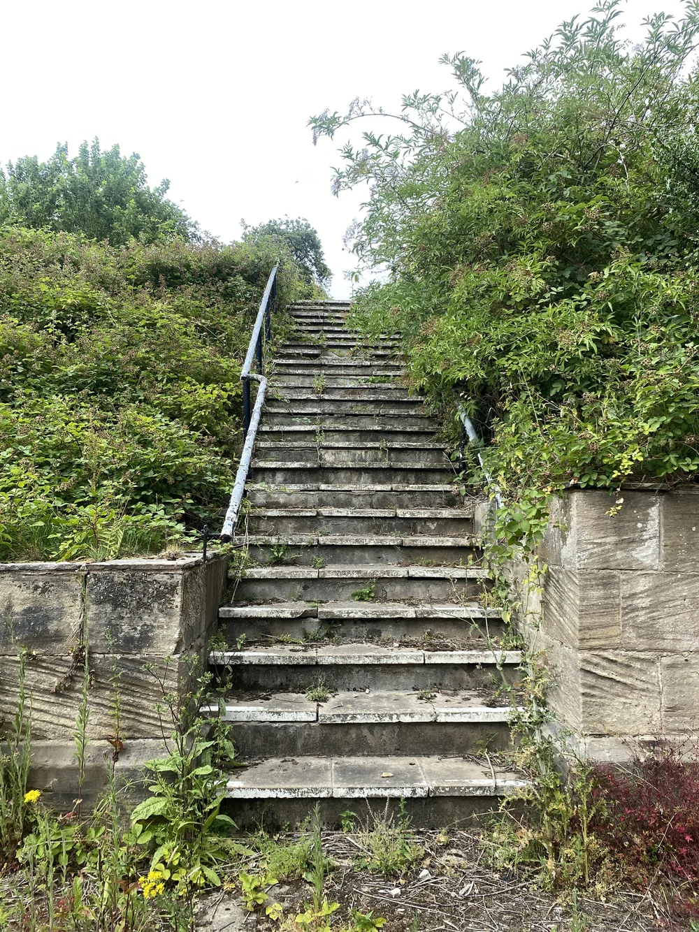  The courtyard steps which, although mercifully free of the brambles spreading everywhere else, are loose and reminiscent of a Knightmare-style false step. 