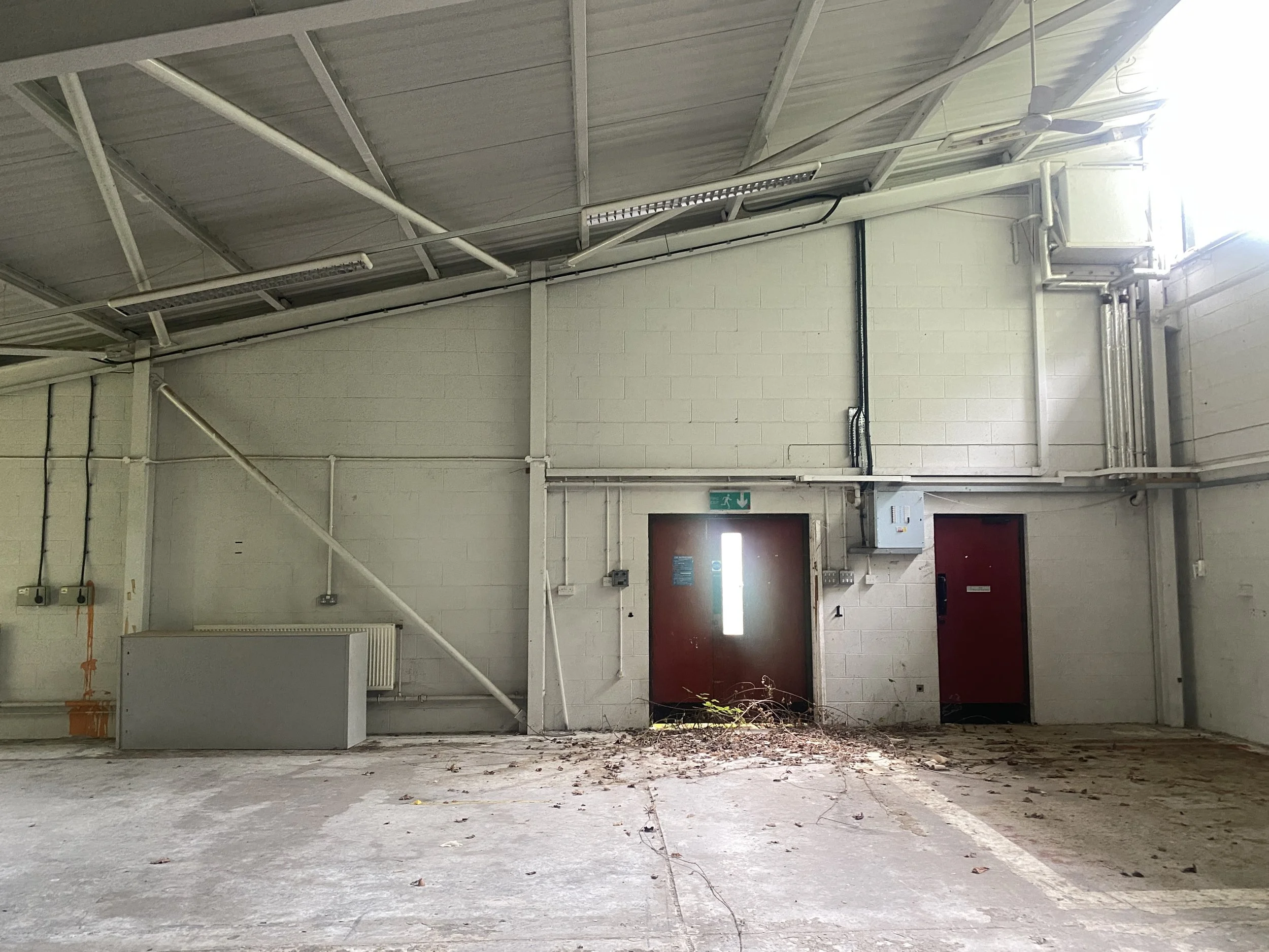  The large room on the west of the building. Brambles have also made their way in through the fire exit. The height of the room is incredible and makes me wonder what the acoustics would have been like when students were busy here. 