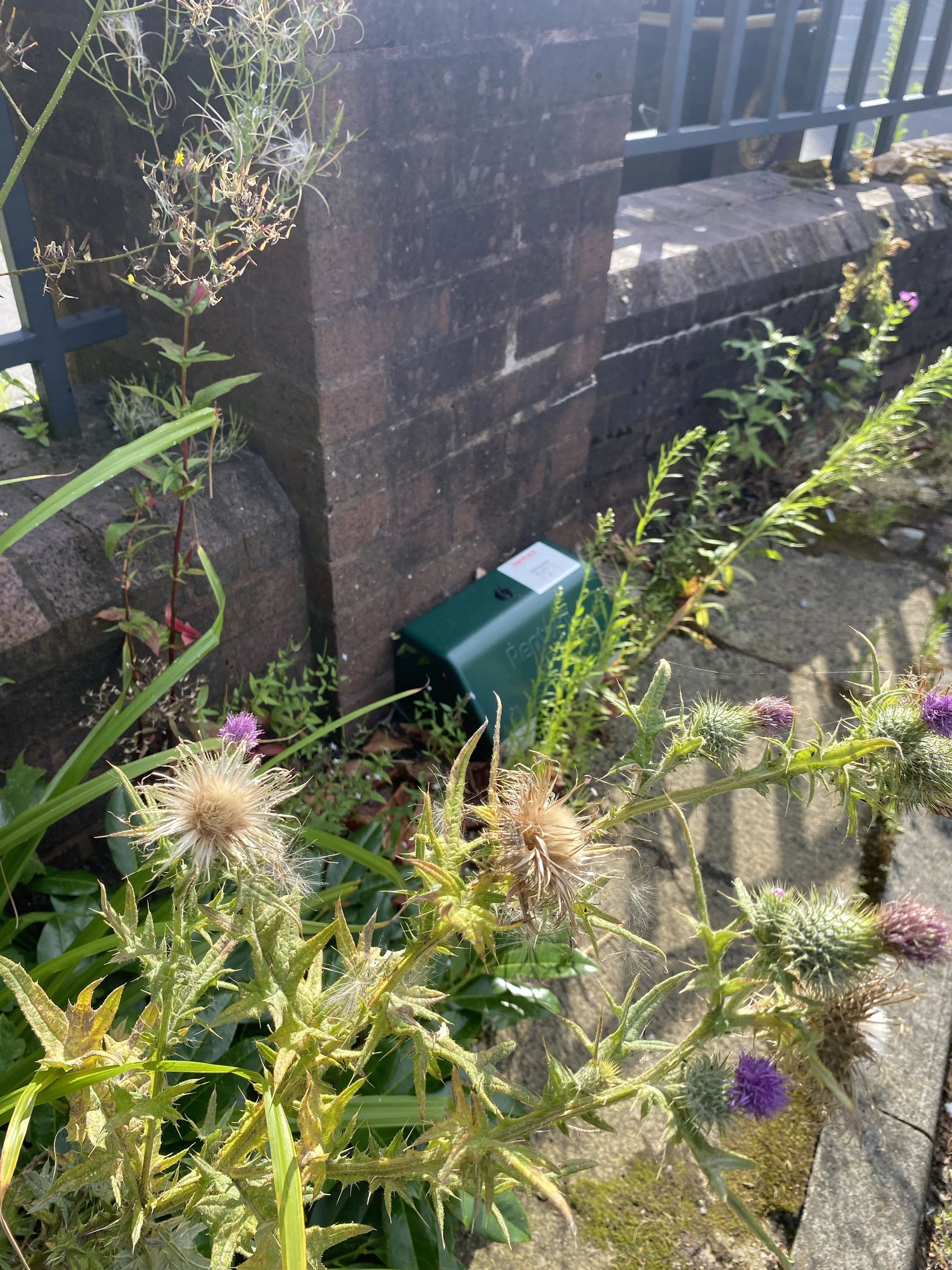 Rat Bait Boxes: a Photo Series