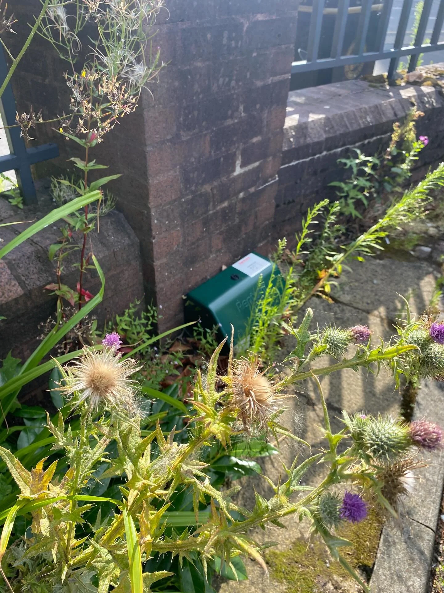 Sometimes, they&rsquo;re ever so slightly hidden. More often, they&rsquo;re sitting in plain sight, dark green or black, rarely blending into their surroundings, especially if they&rsquo;re new and shining. 

Others have accrued many seasons&rsquo; w