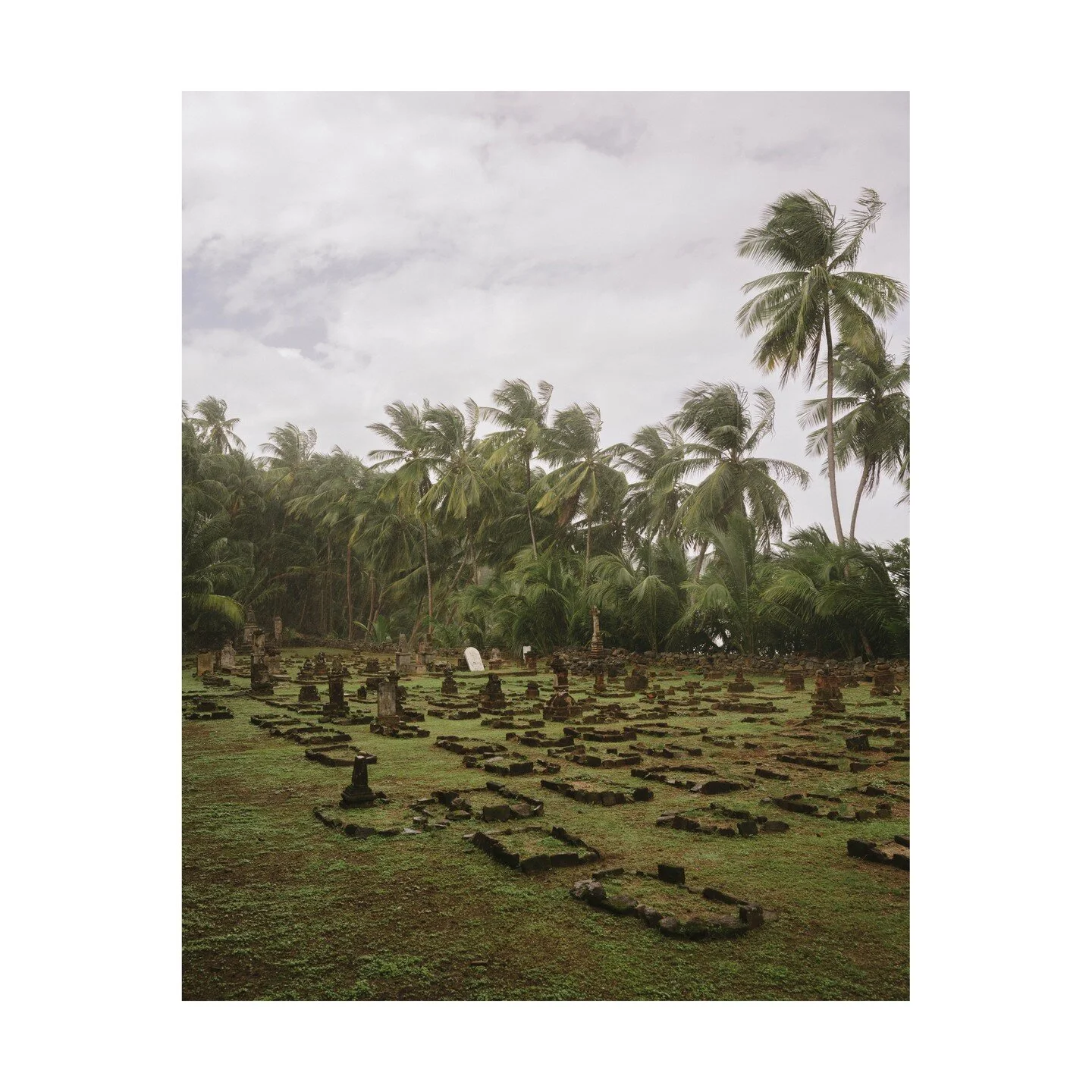 One image from french guiana that probably wont make it into the book edit, so im posting it here.

This graveyard is on &Icirc;le Saint-Joseph, one of three islands where France held some of the worst criminals that were sent to the penal colony in 
