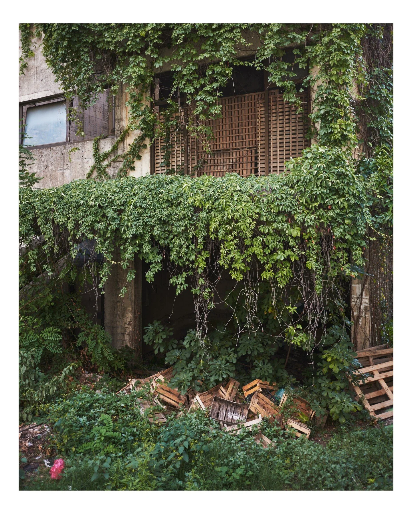 backyard adventure image