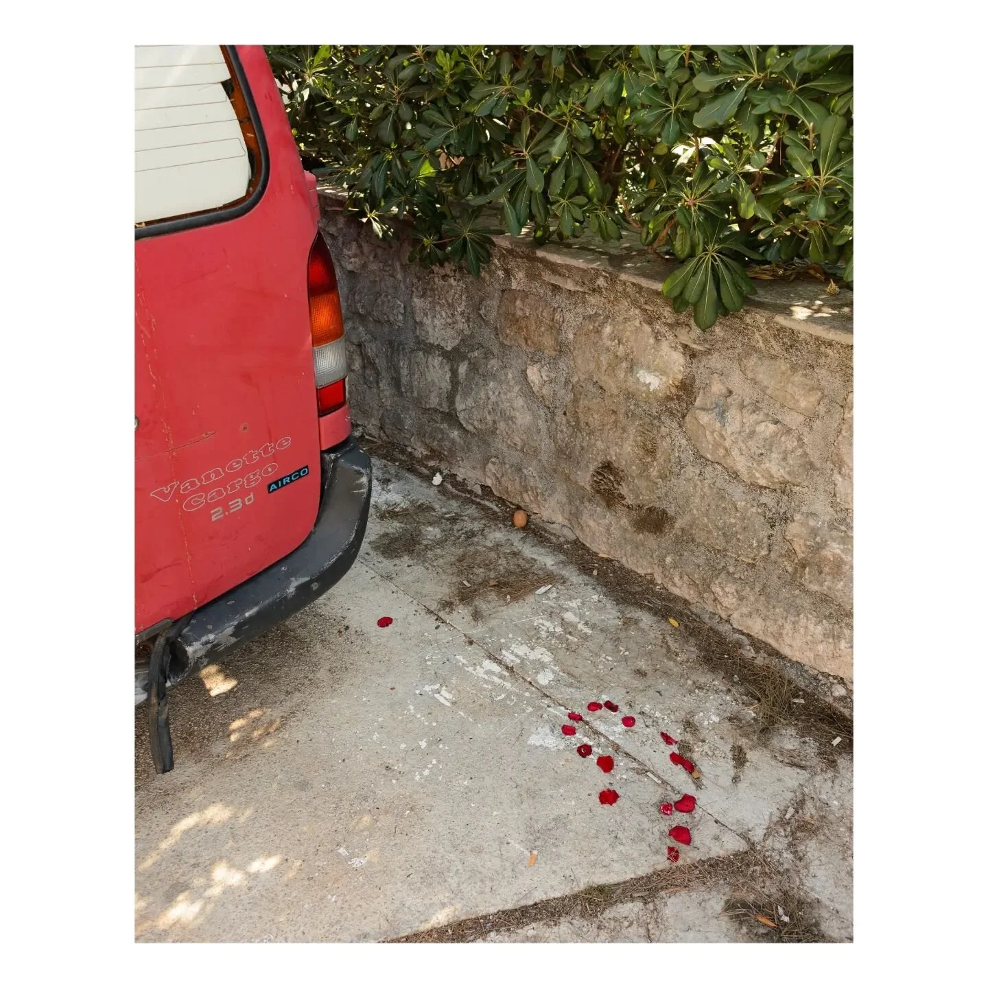 Montenegrian car picture drop (+ special guest: another cat)