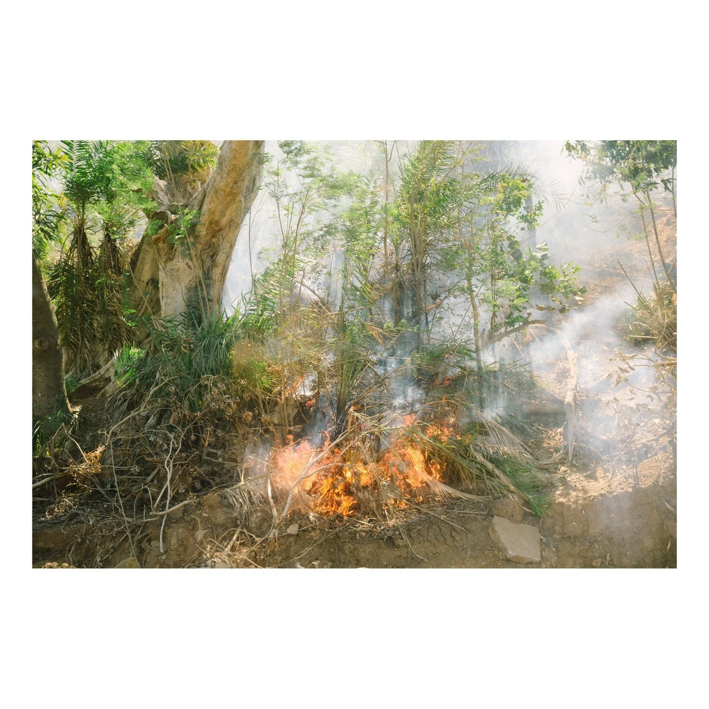 Fire and smoke and watering cans and palms and generators and leaves and trash and doors and pipes and clothes and wind and walls and and and and and and and and

#madagascar #tsingyrouge #diegosuarez #ramena #fujifilmx100 #vsco #antsiranana