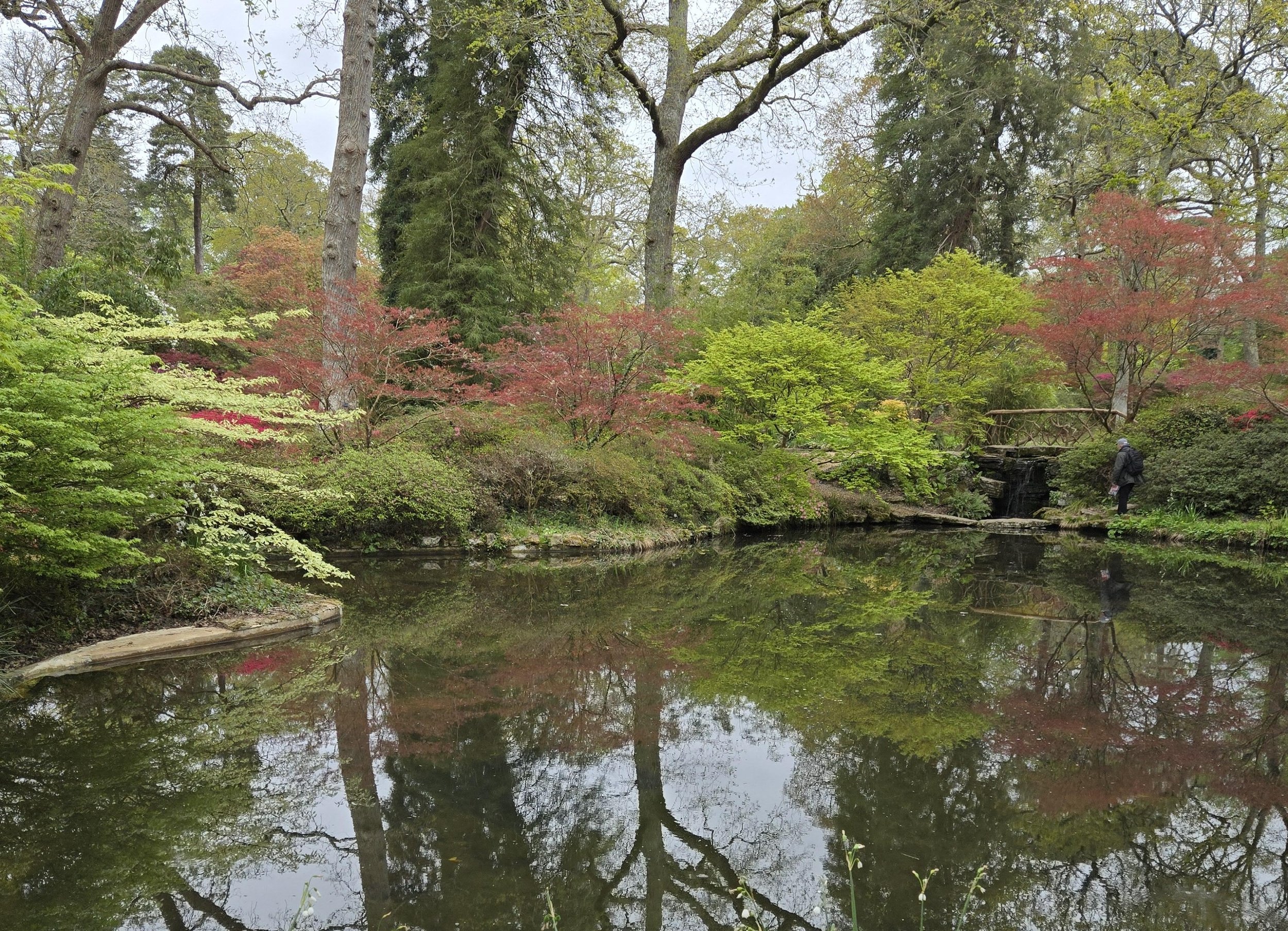 200 acres/81 hectares of flowers, trees &amp; lakes at spectacular Exbury Gardens in the New Forest