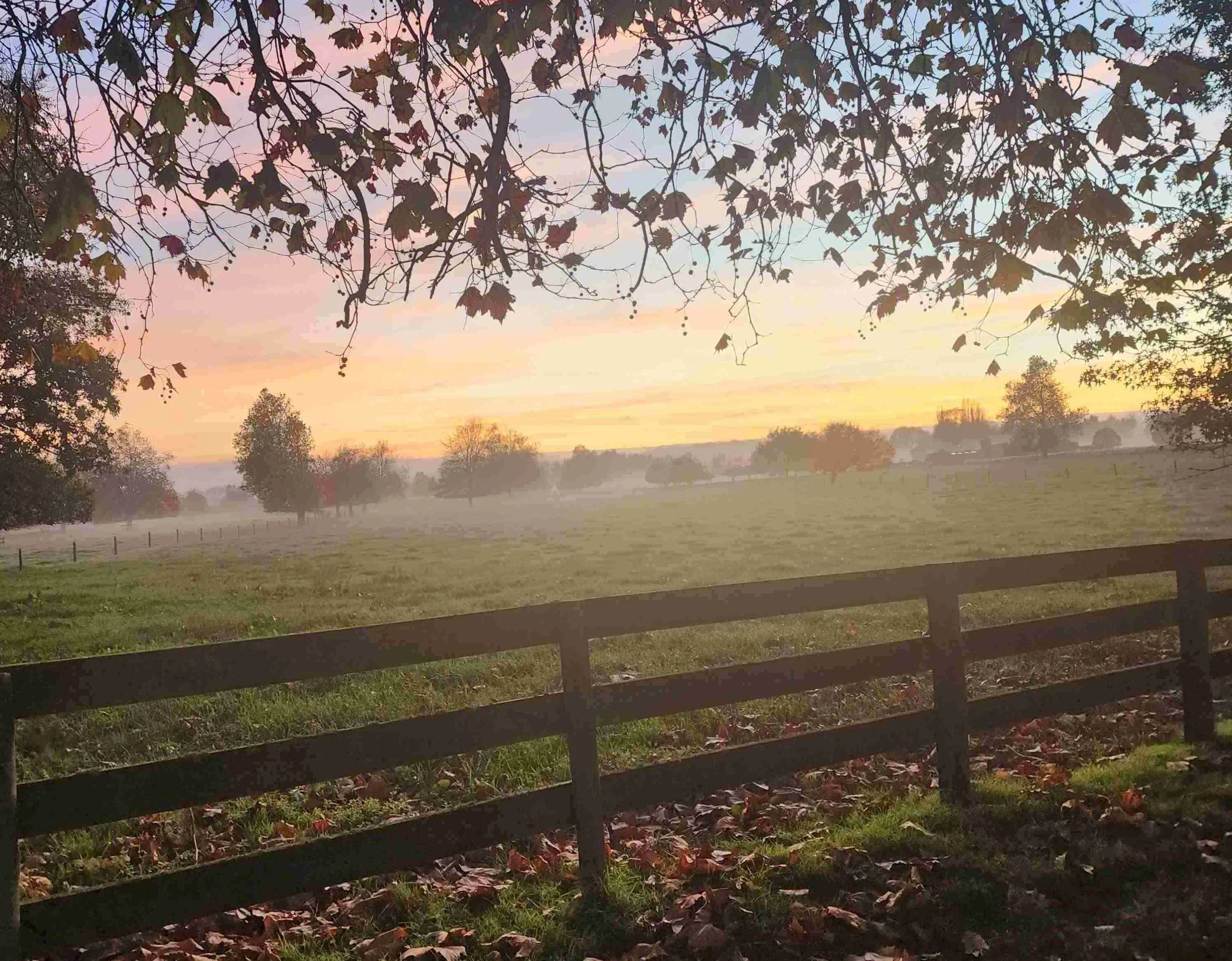 Sunrise across the fields on the north island of New Zealand