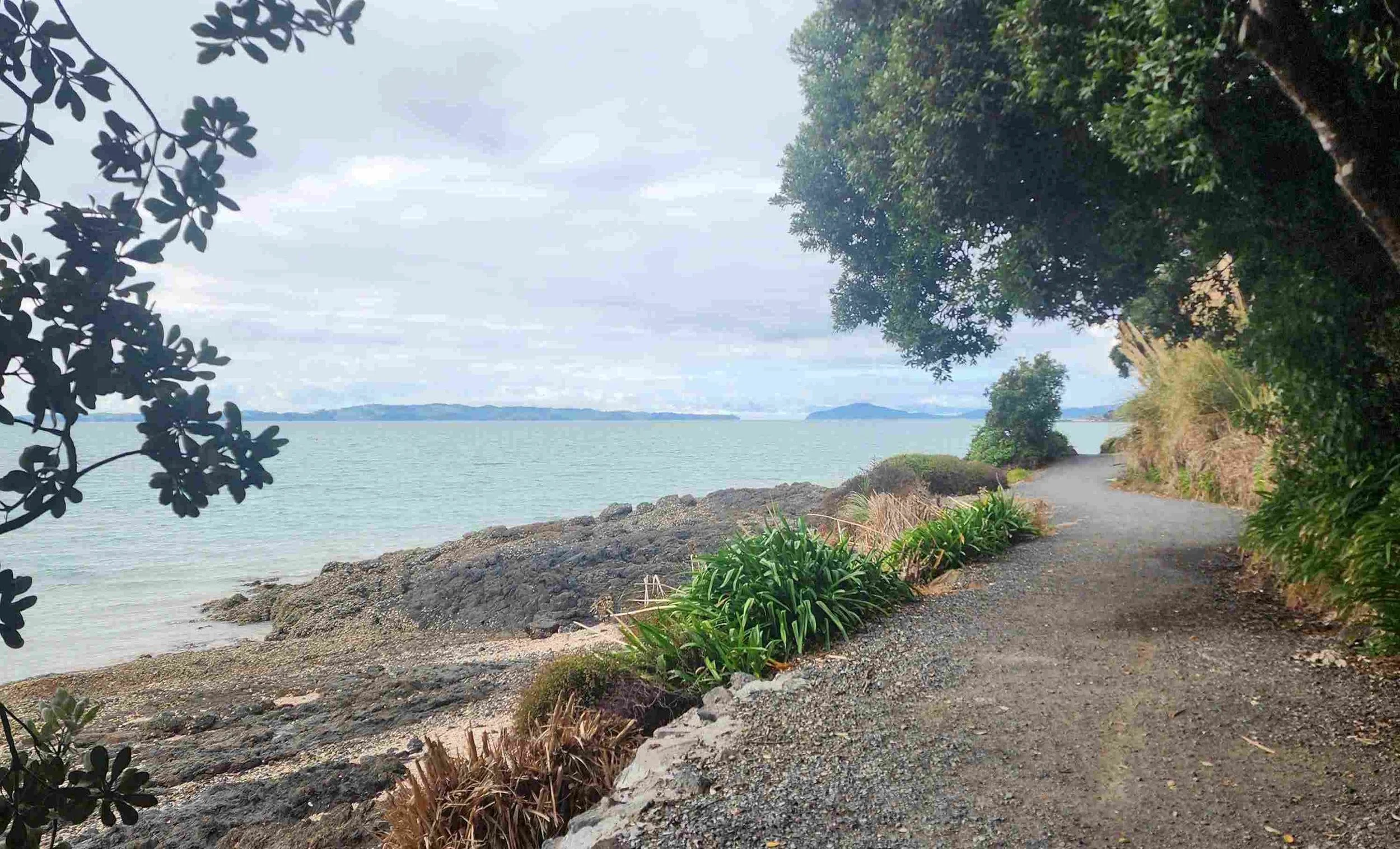 Attractive and empty coastal path east of Auckland