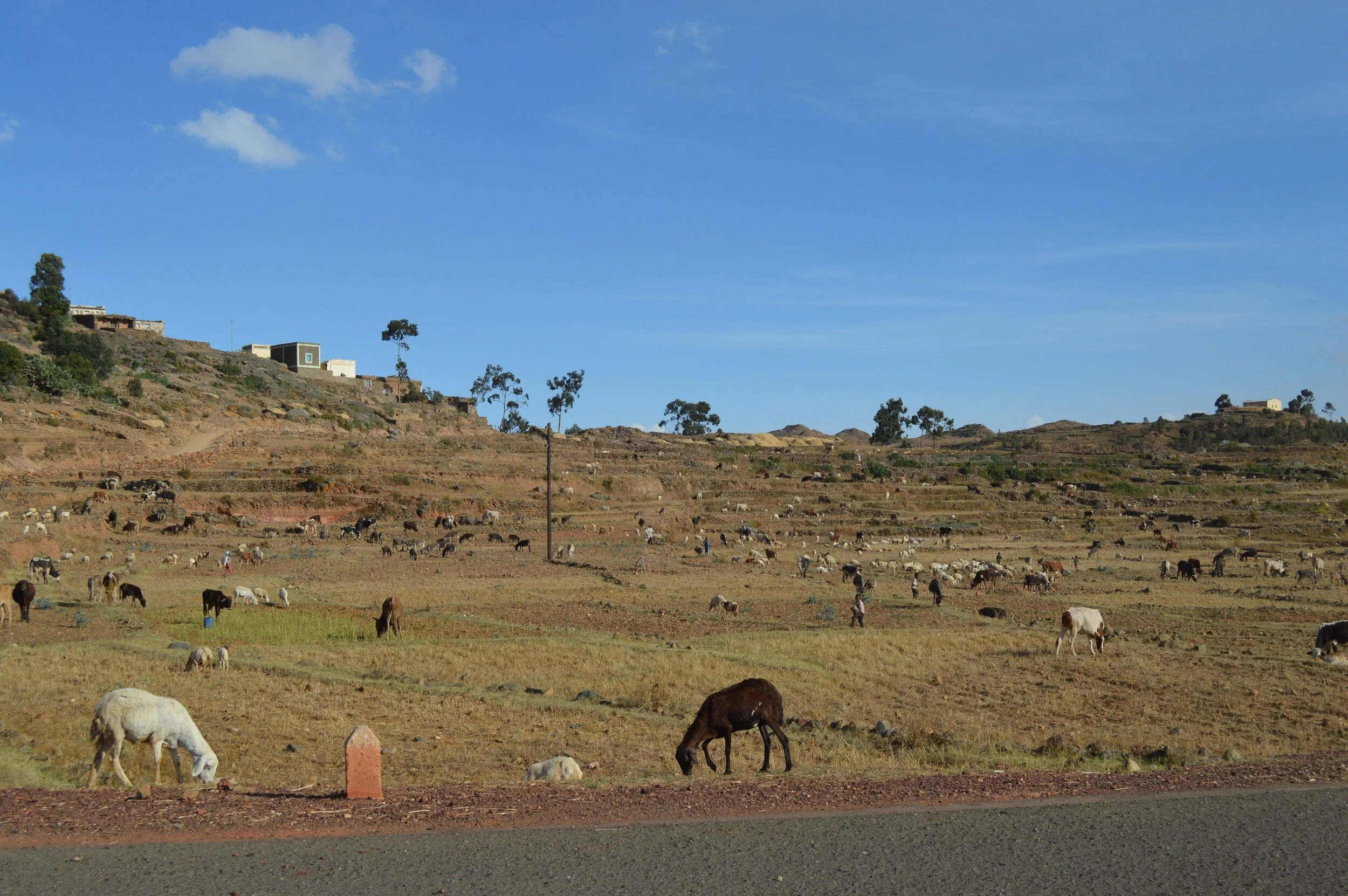DSC_0655-min.JPG