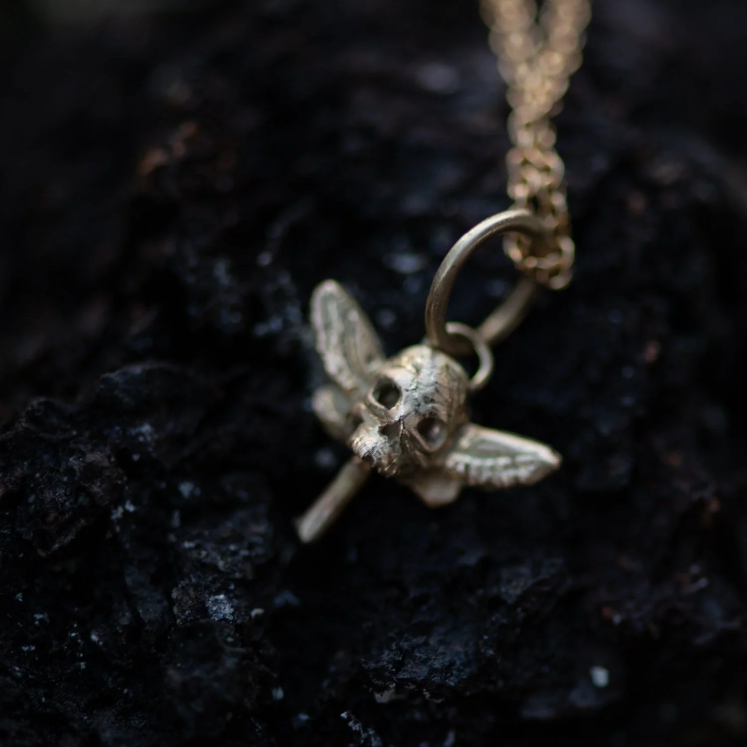 skullfly_5.JPG