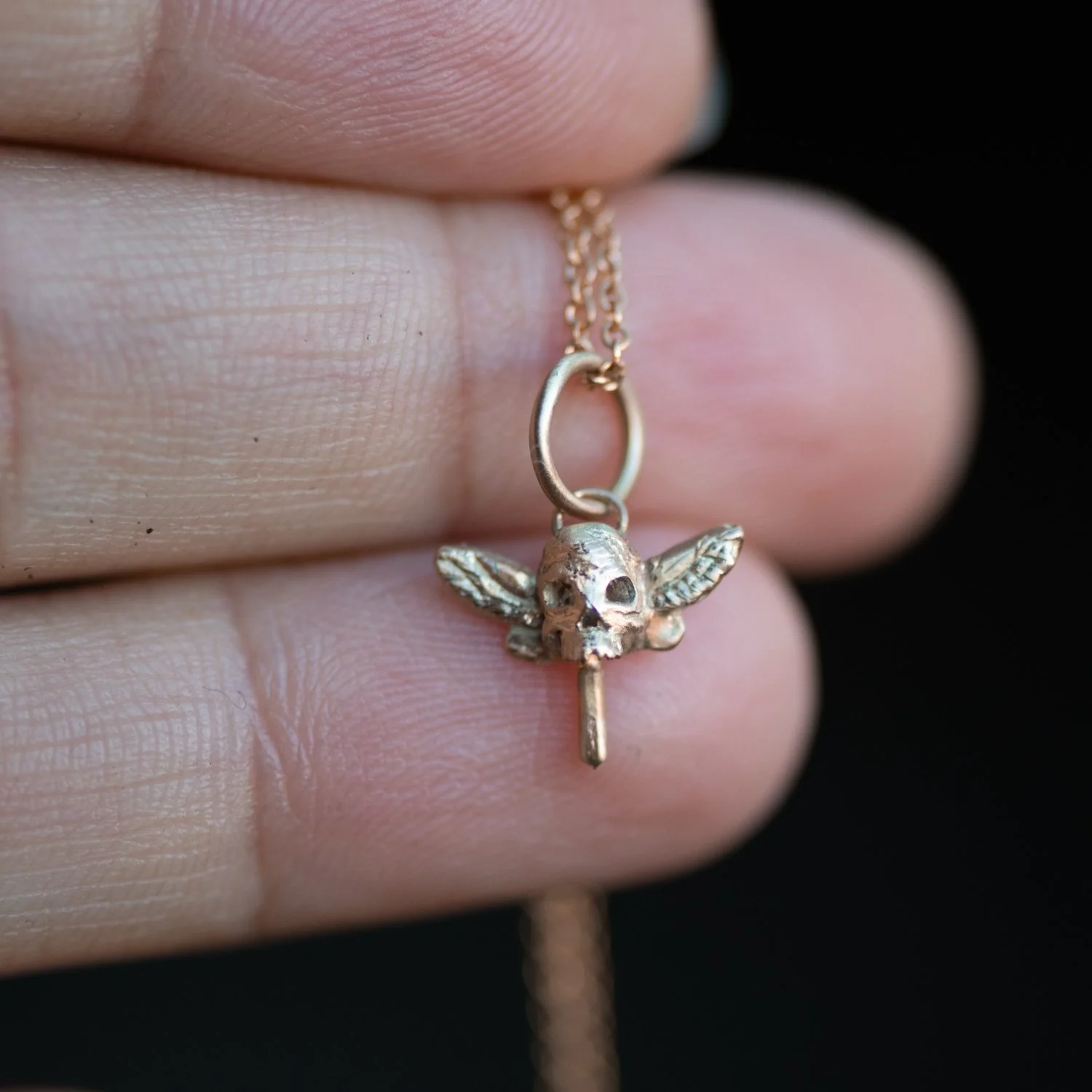 skullfly_1.JPG