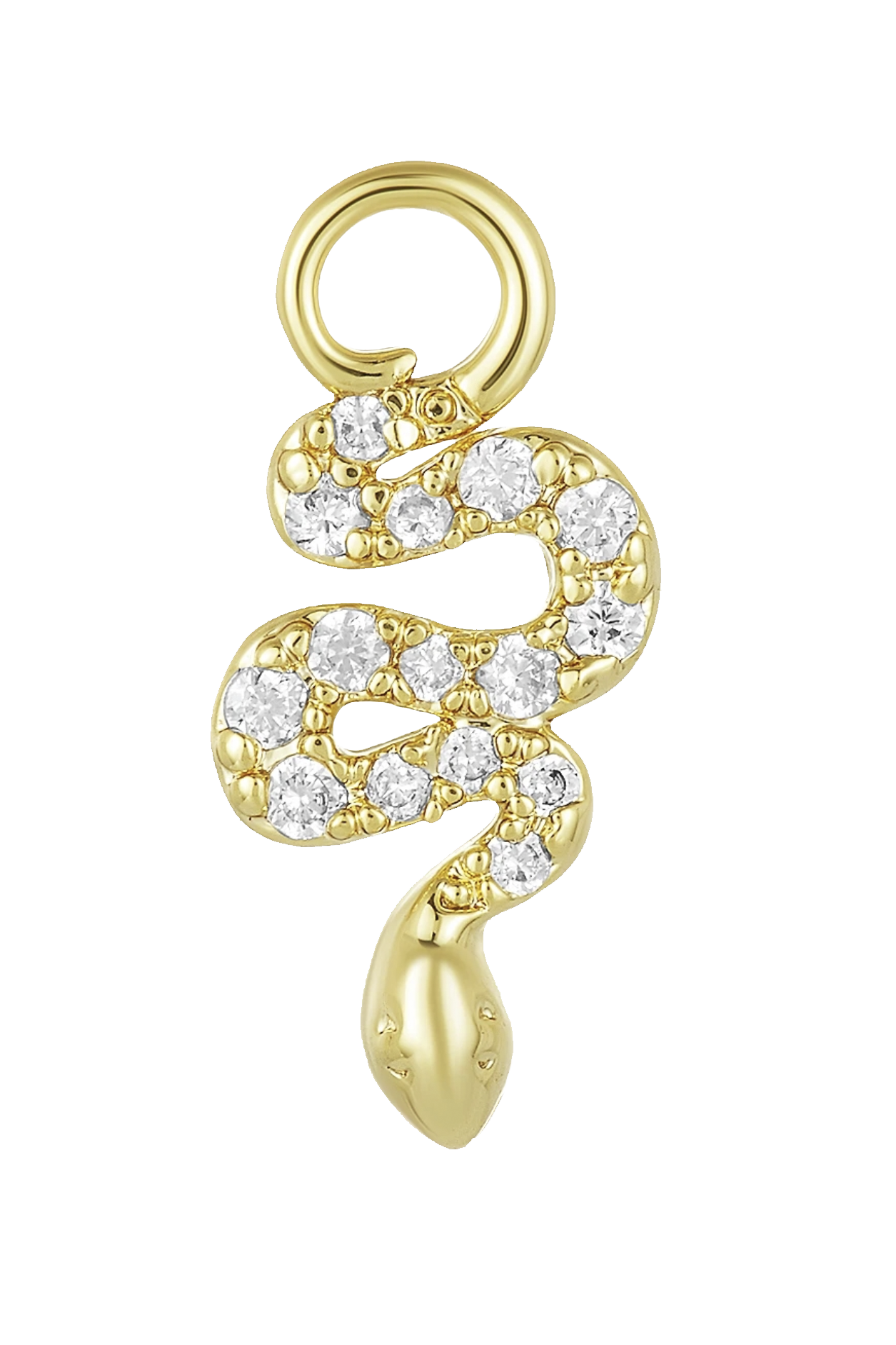 Snake Charm