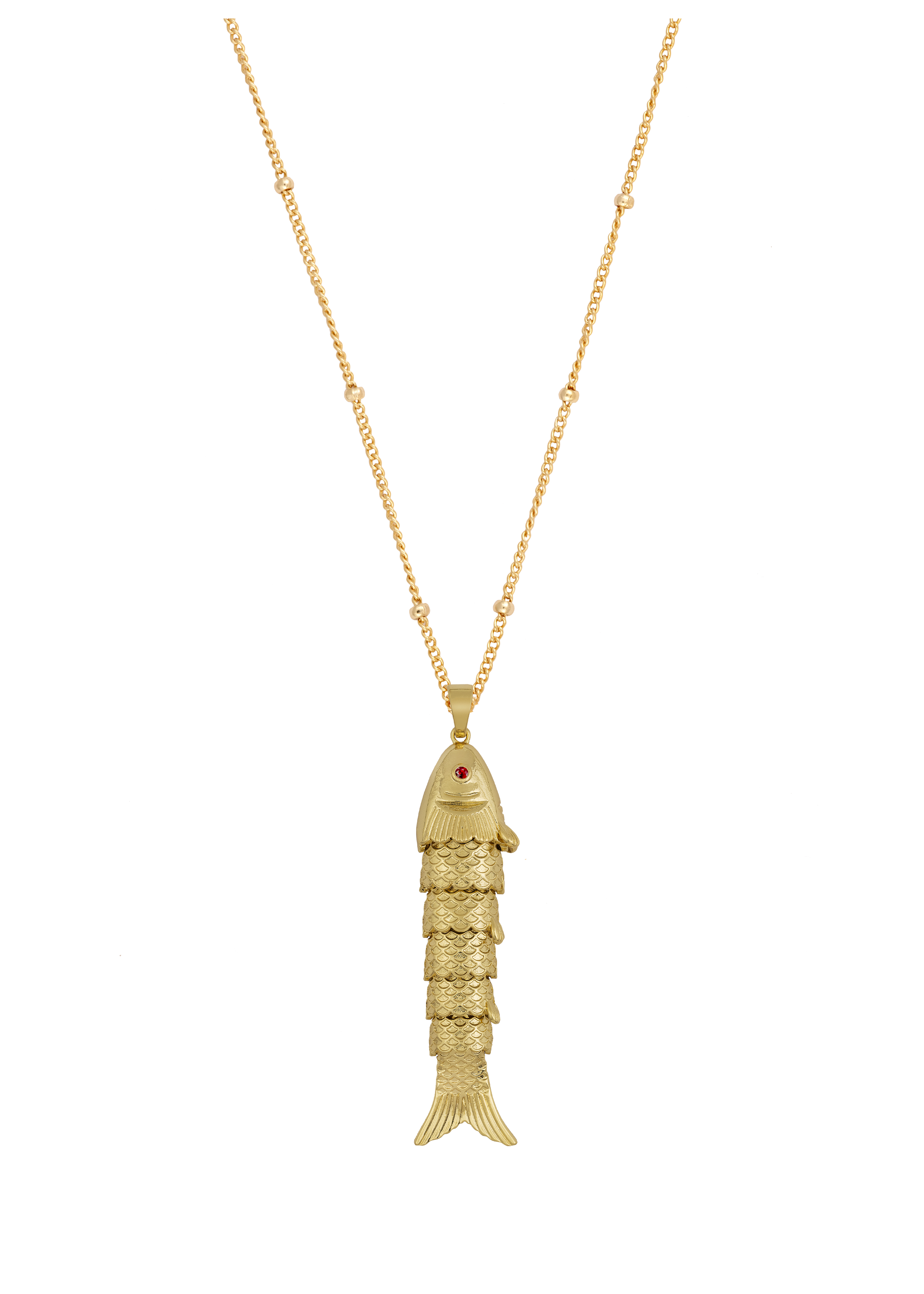 fish on satelittle chain_.png