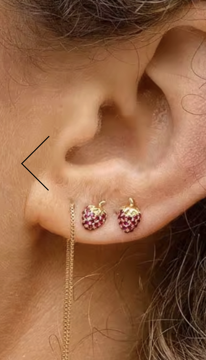 Screenshot 2026-01-20 at 17.30.18.png