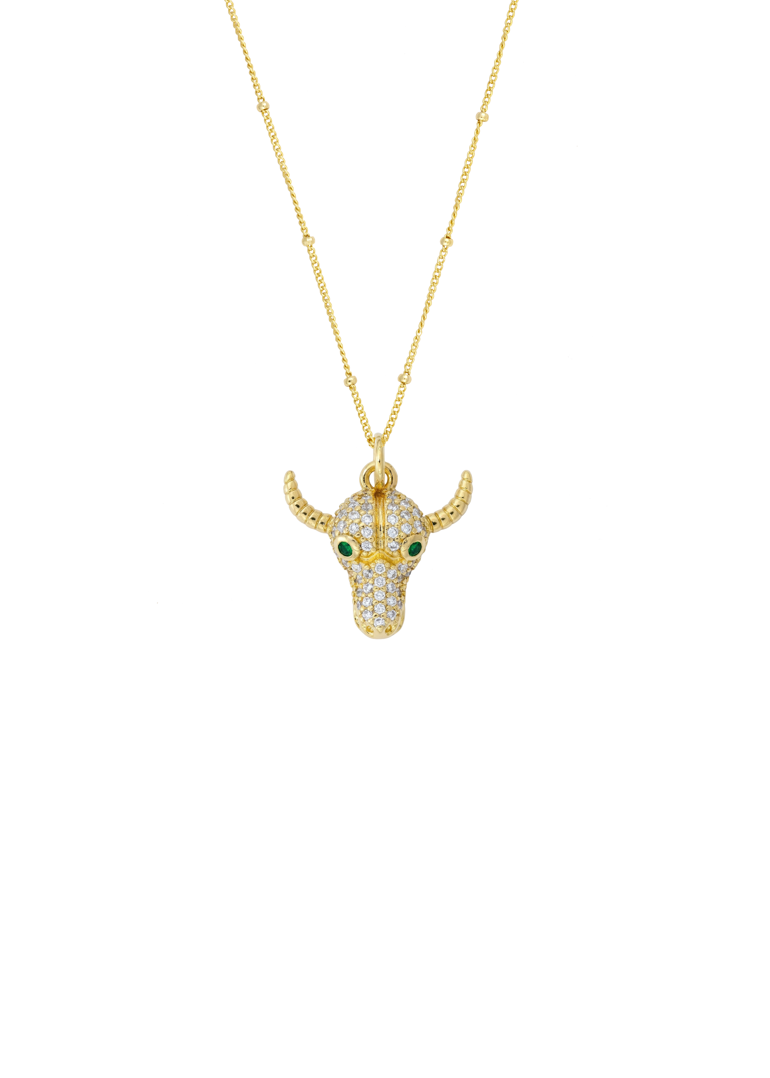 Navajho pendant on chain_.png