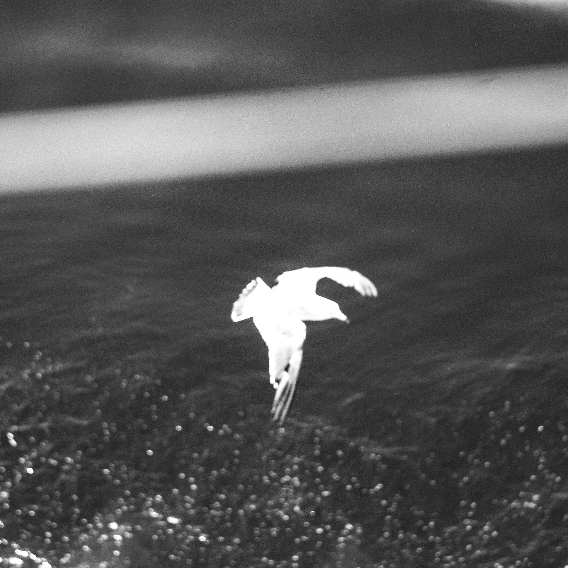 【NEWS】TOSHIKI HAYASHI(%C)『Melo Flow feat. moeki &amp; maco marets』Single 配信リリース（COLLAB）