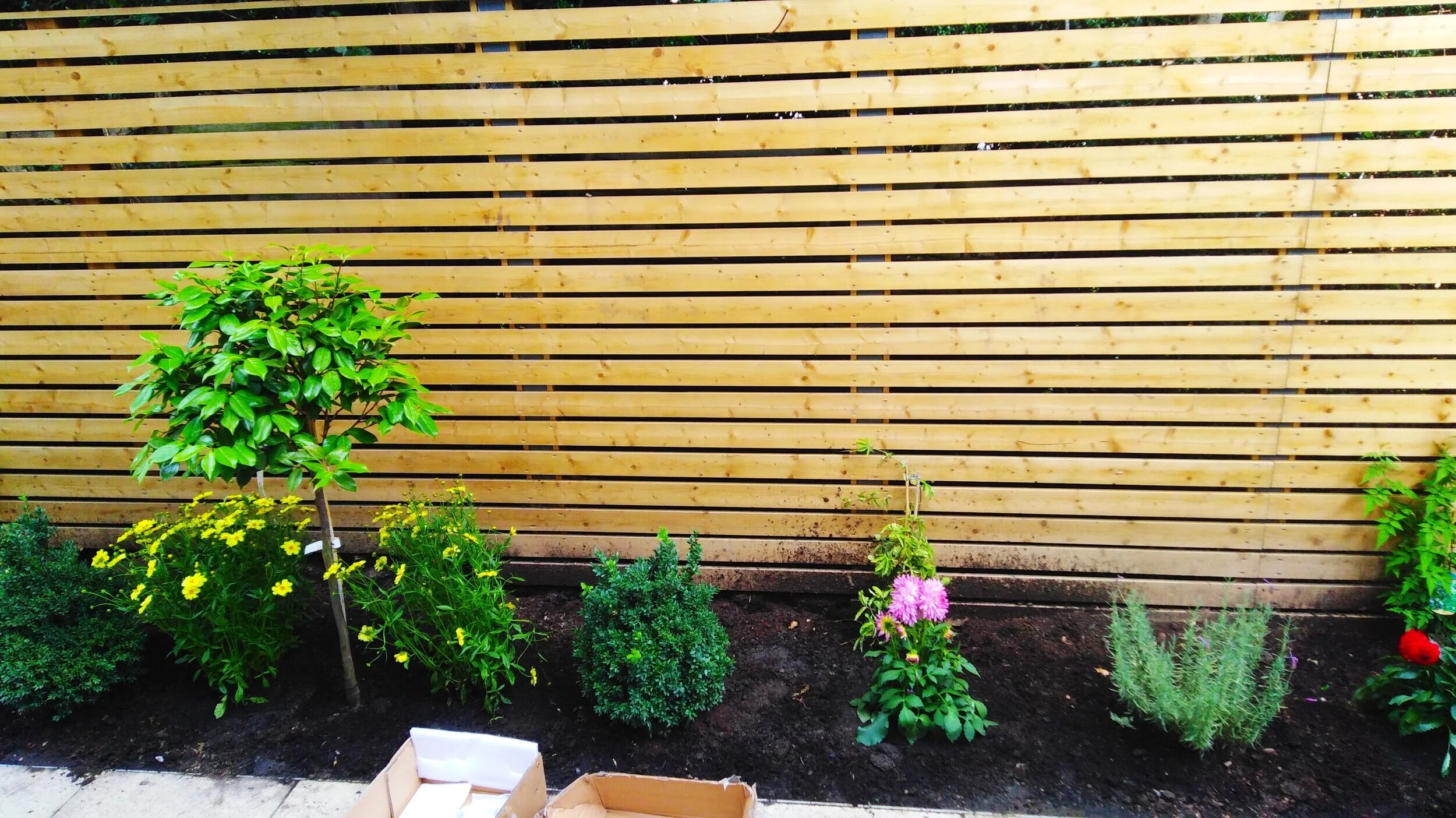 Torrington Design and Build — Electrical, Gas & Plumbing