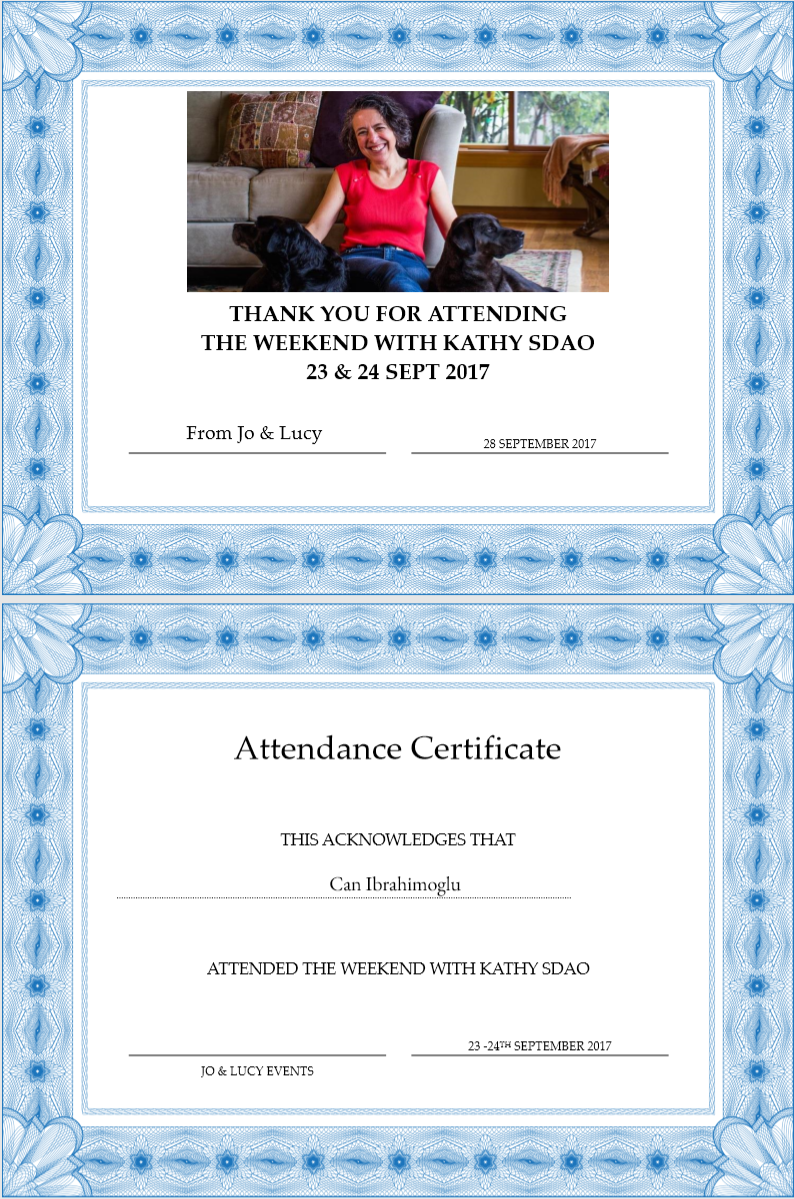 sdao_certificate.PNG