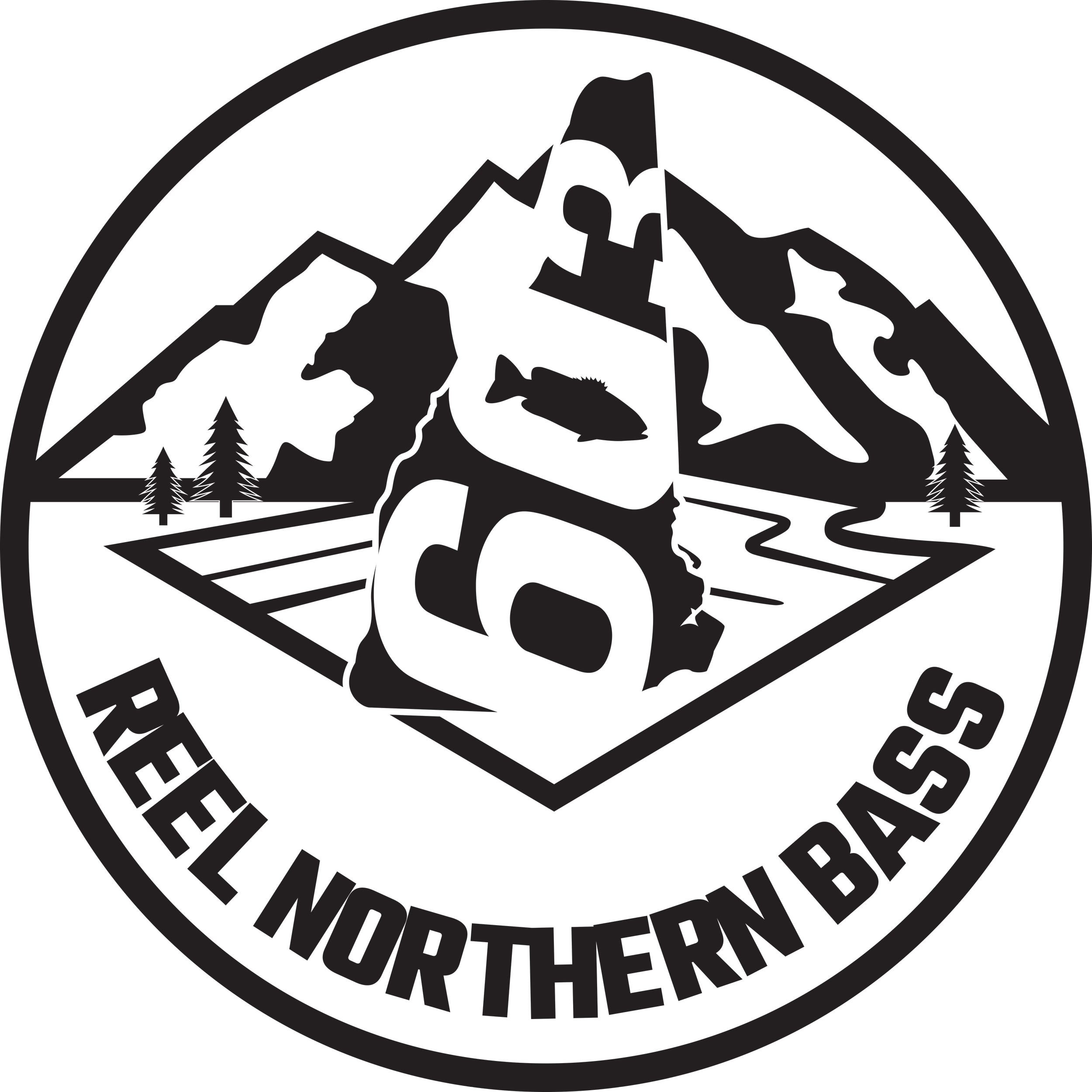 REEL Northern Bass.png